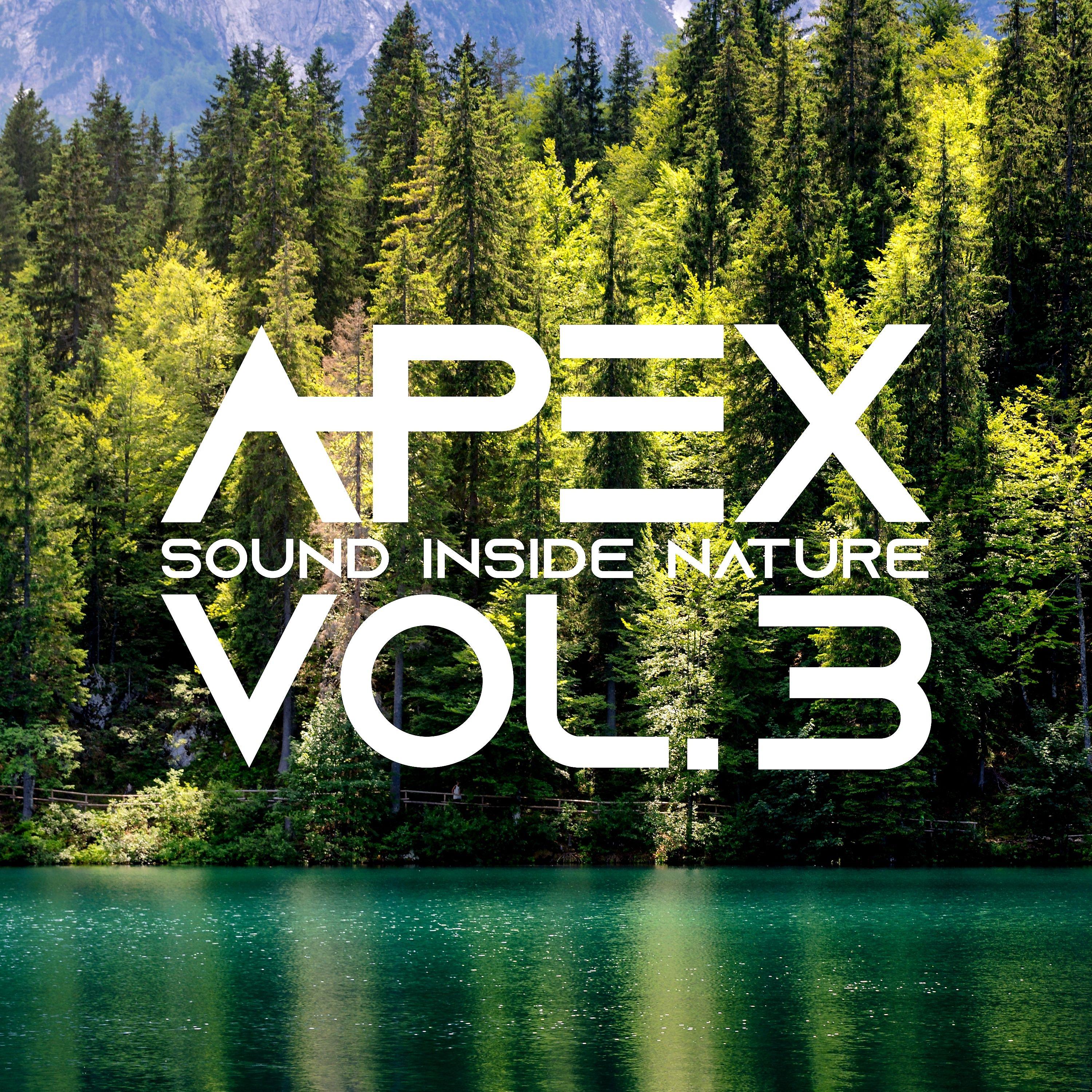 Постер альбома Apex Sound Inside Nature, Vol. 3