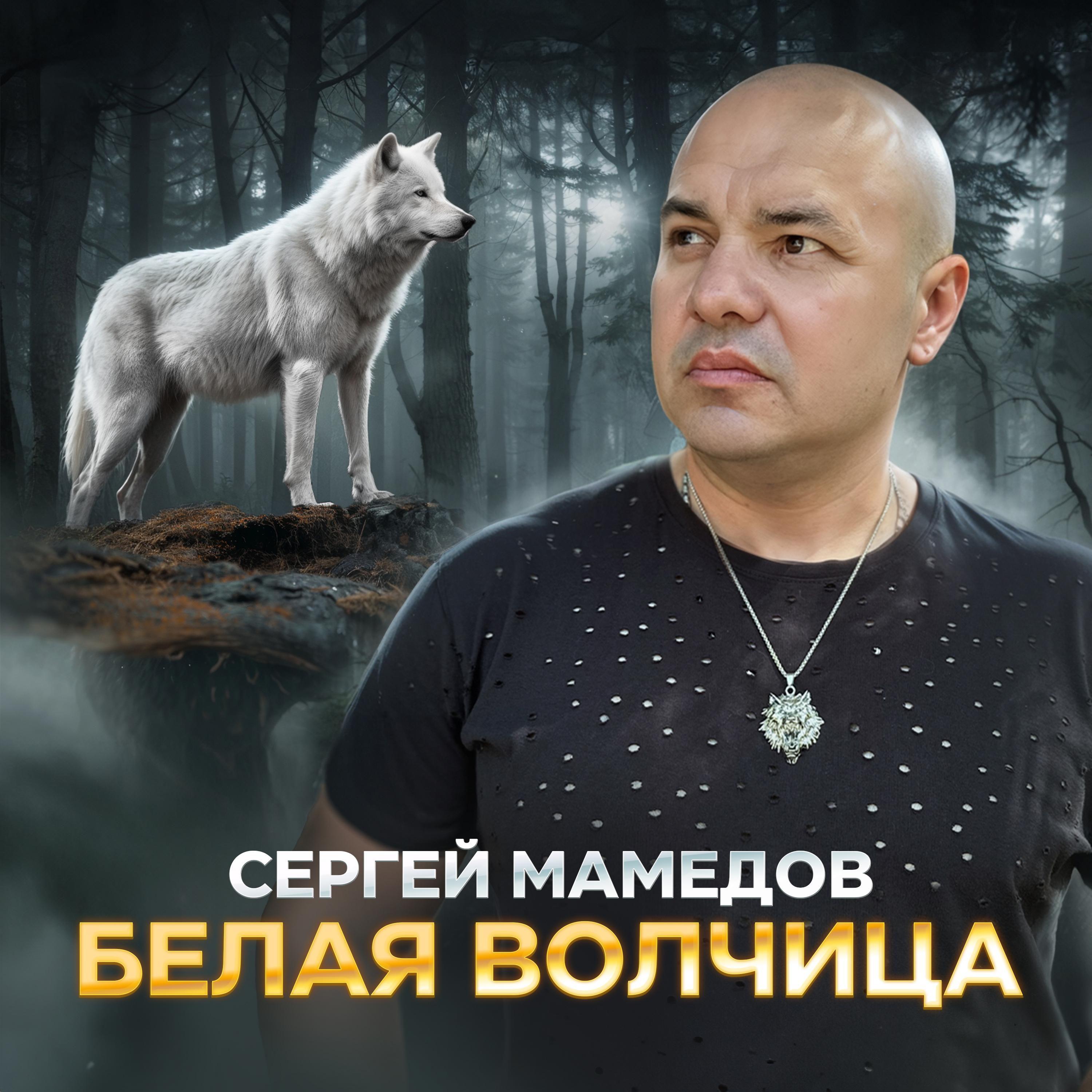 Постер альбома Белая Волчица