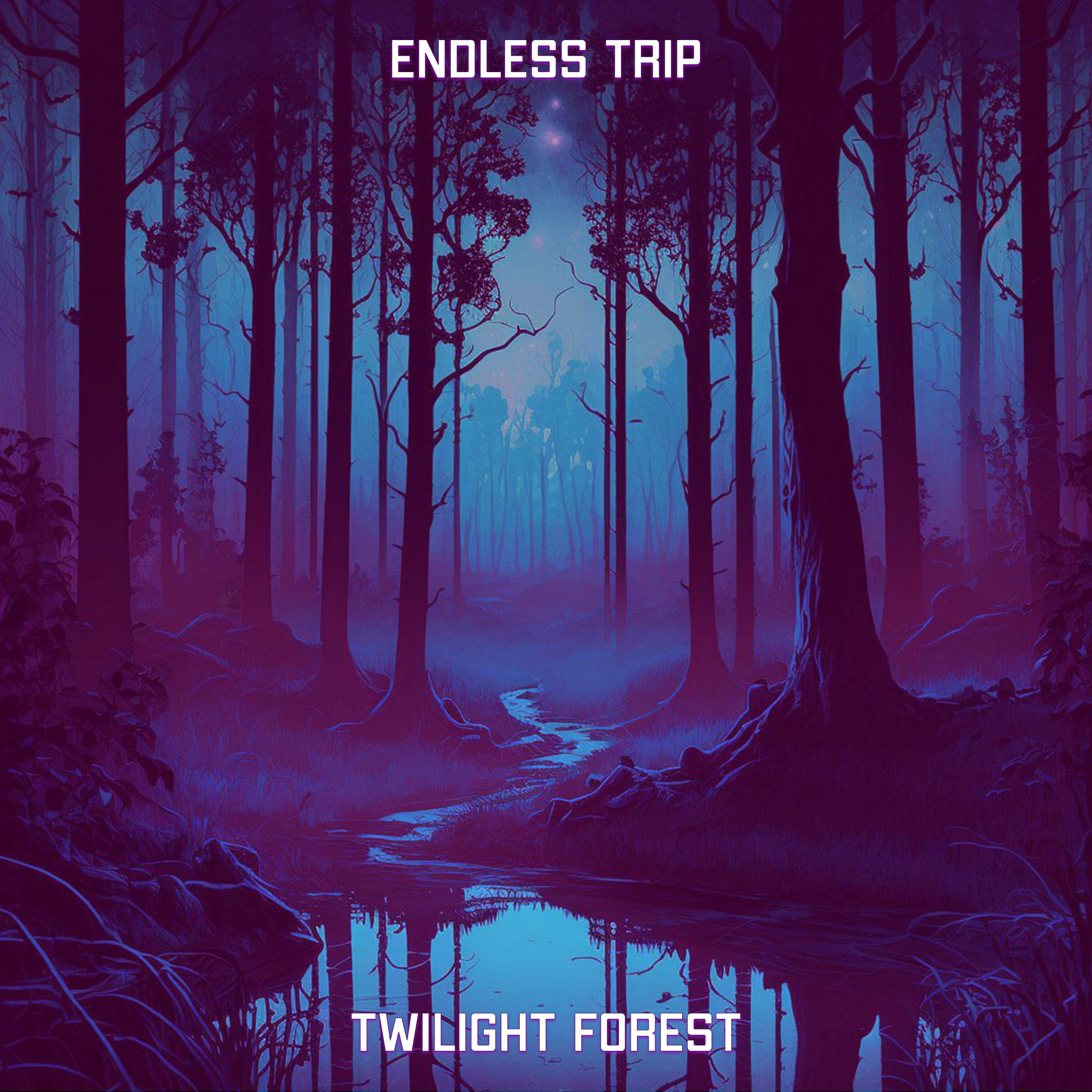 Постер альбома Twilight Forest