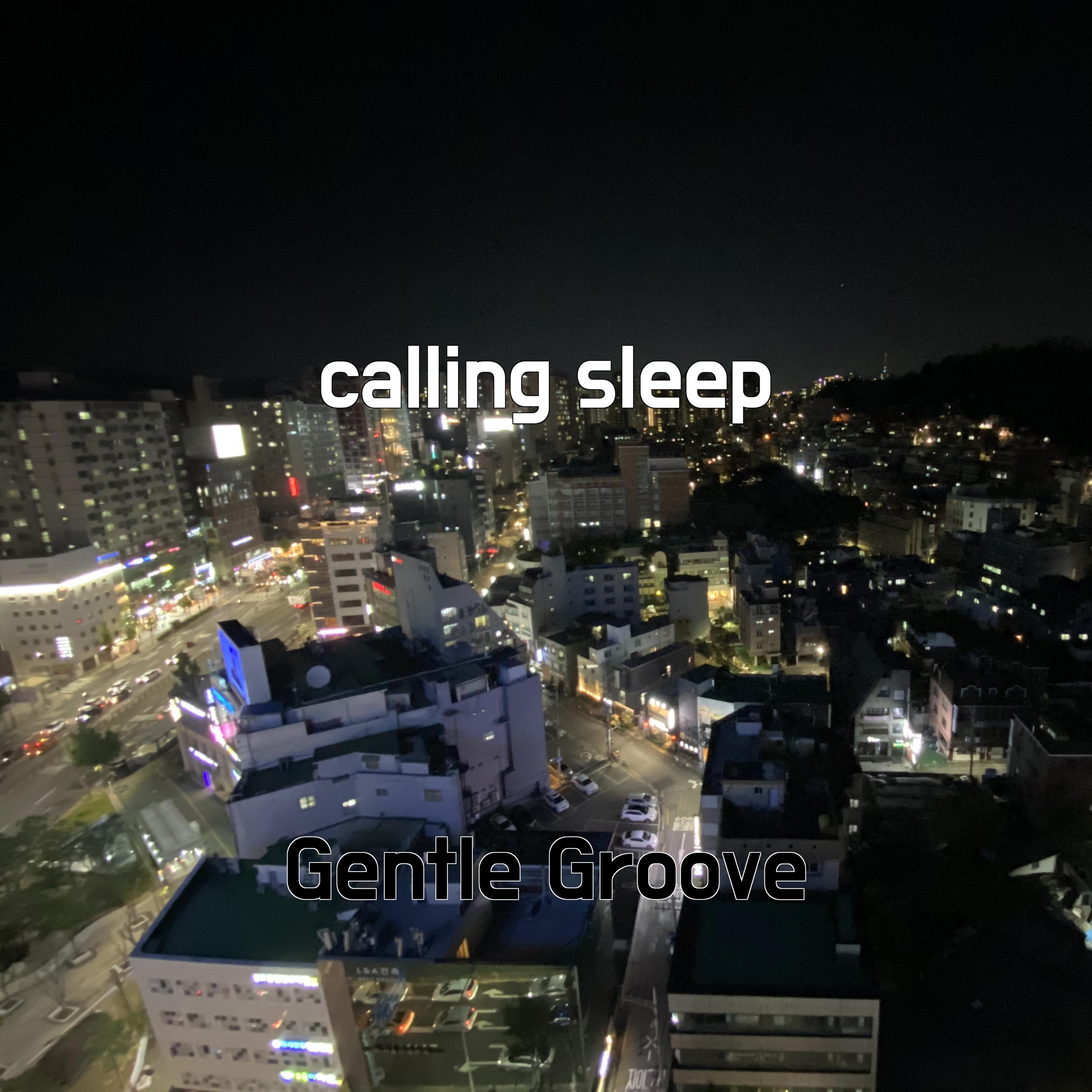 Постер альбома calling sleep