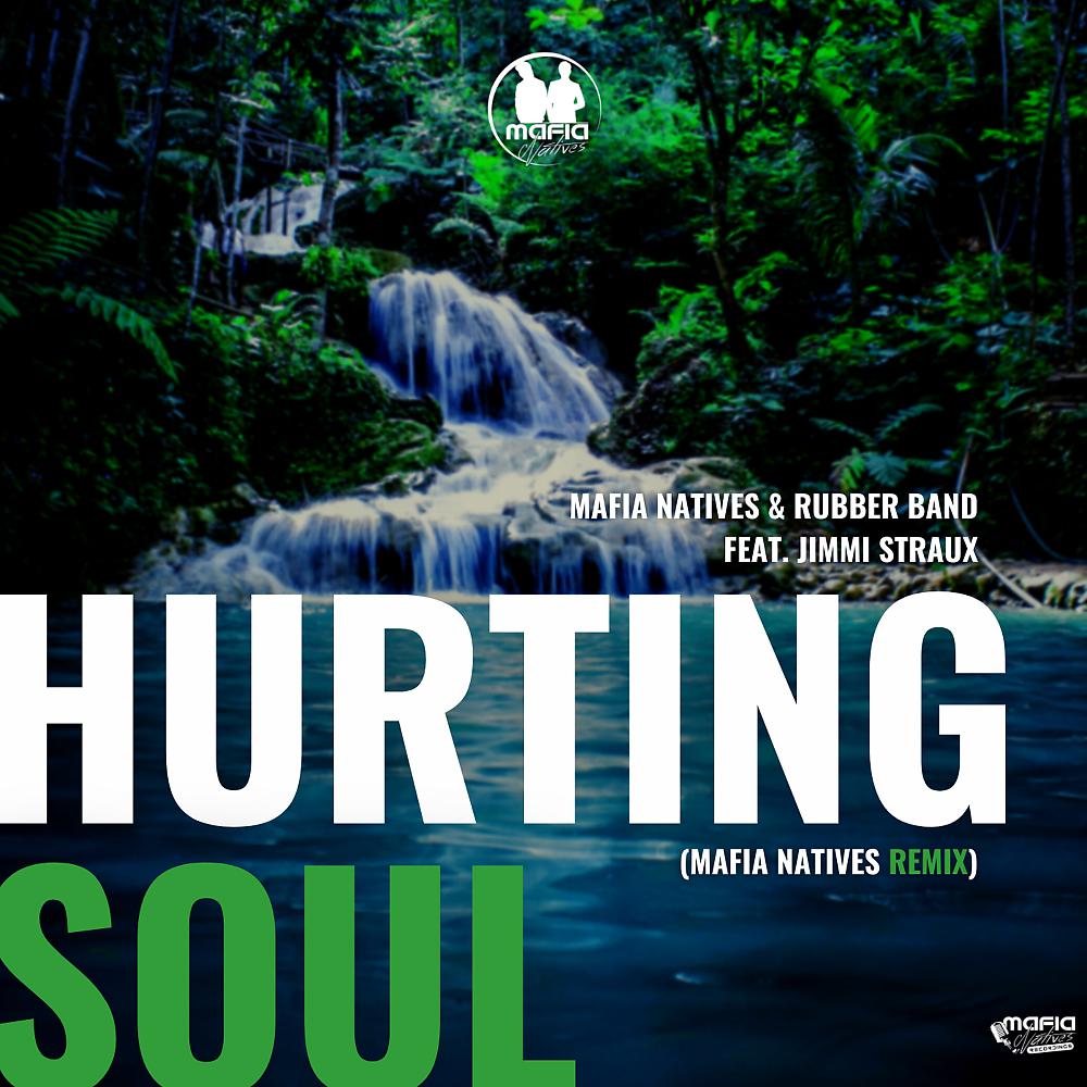 Постер альбома Hurting Soul