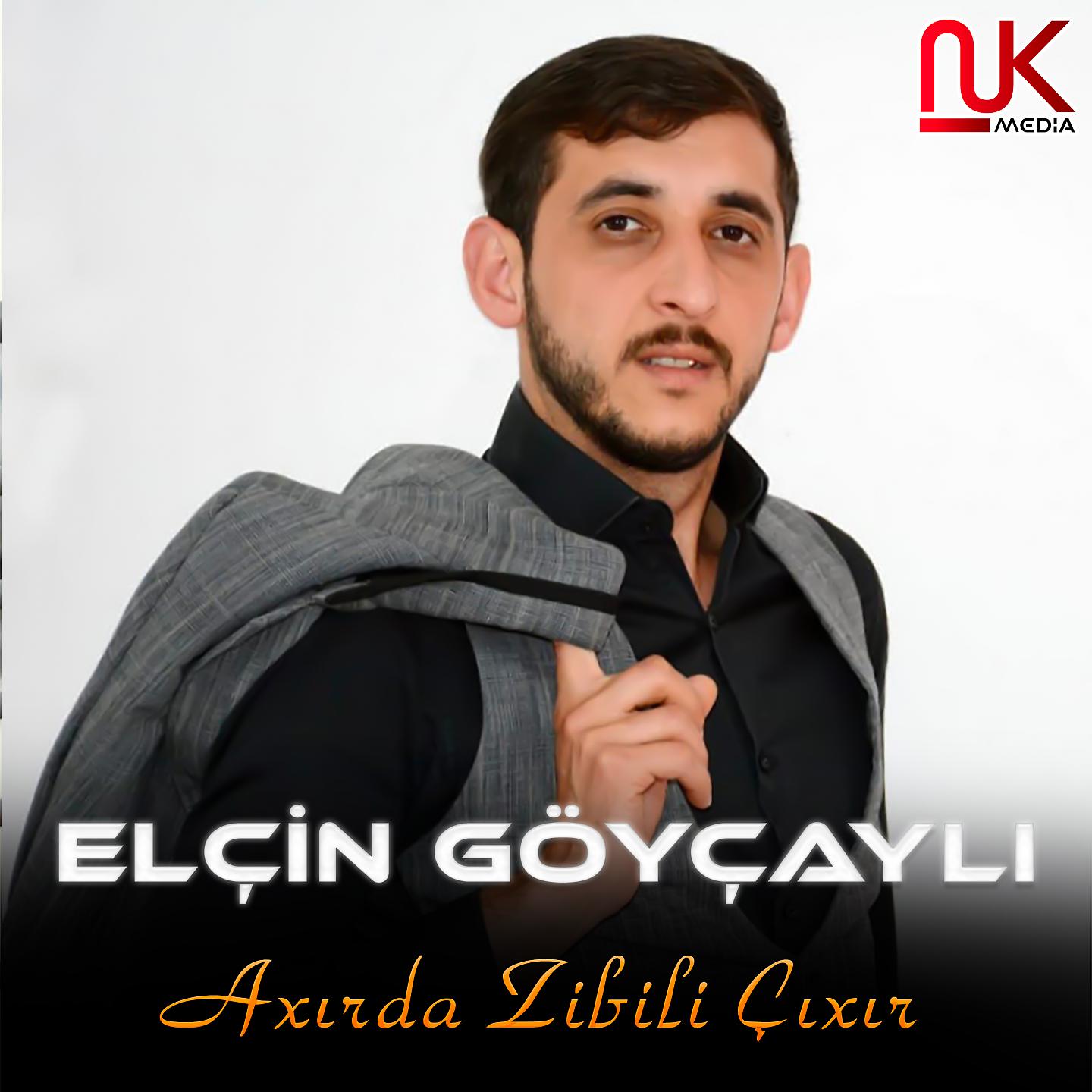Постер альбома Axırda Zibili Çıxır