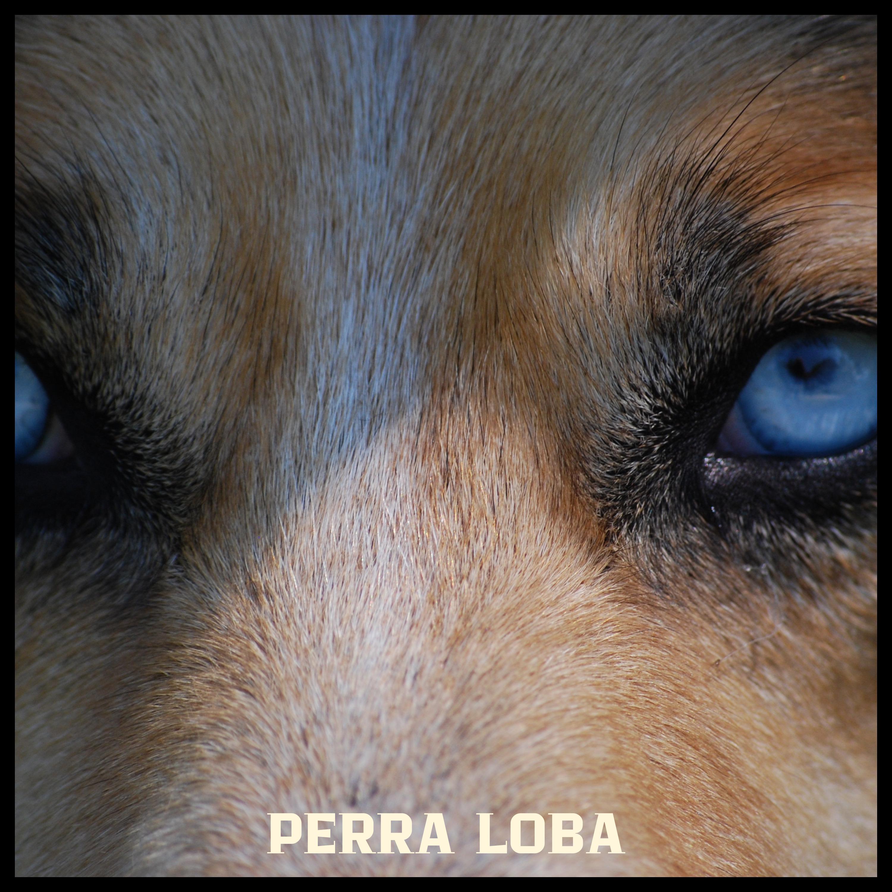 Постер альбома Perra Loba