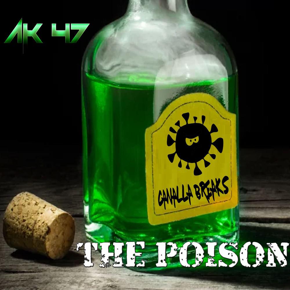 Постер альбома The Poison (Original Mix)