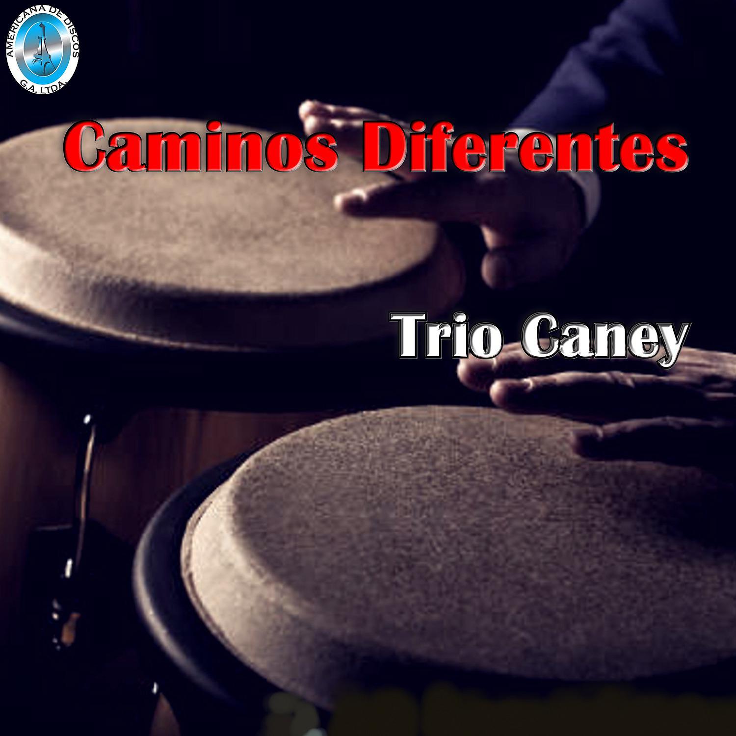 Постер альбома Caminos Diferentes