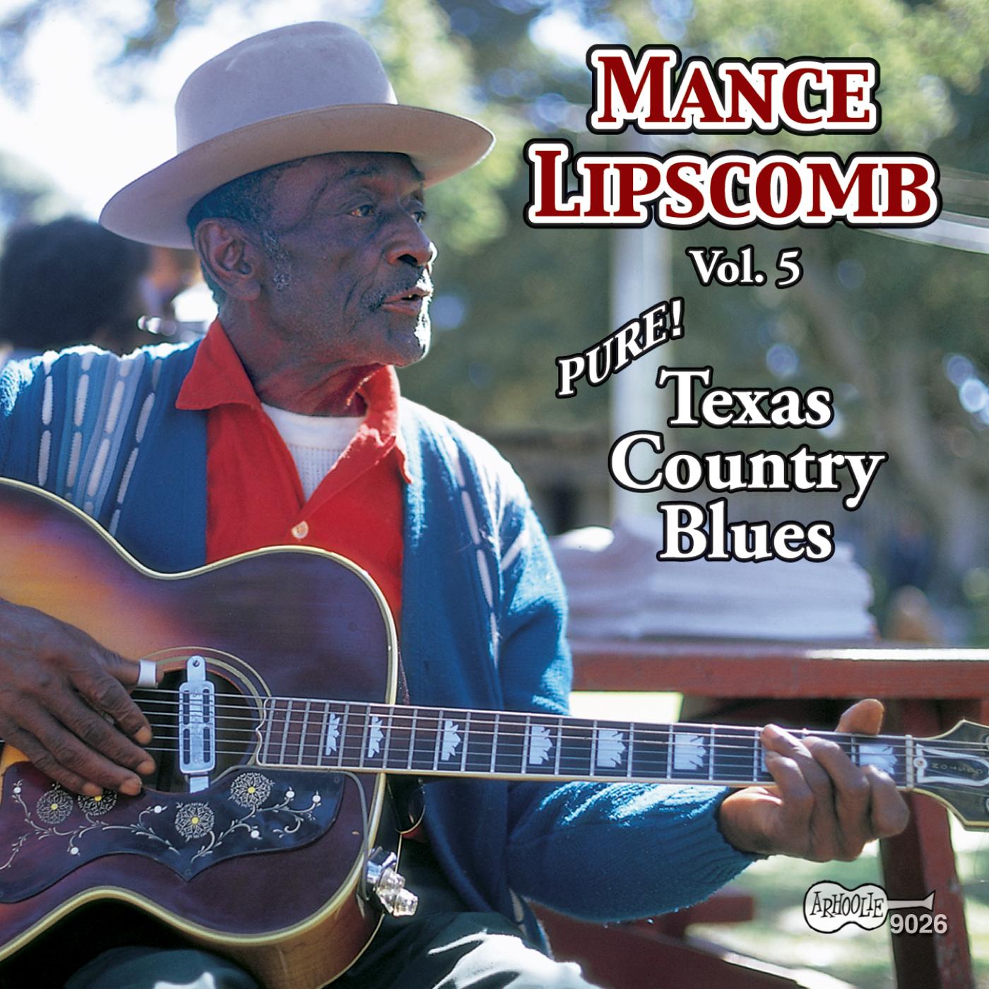 Постер альбома Texas Country Blues