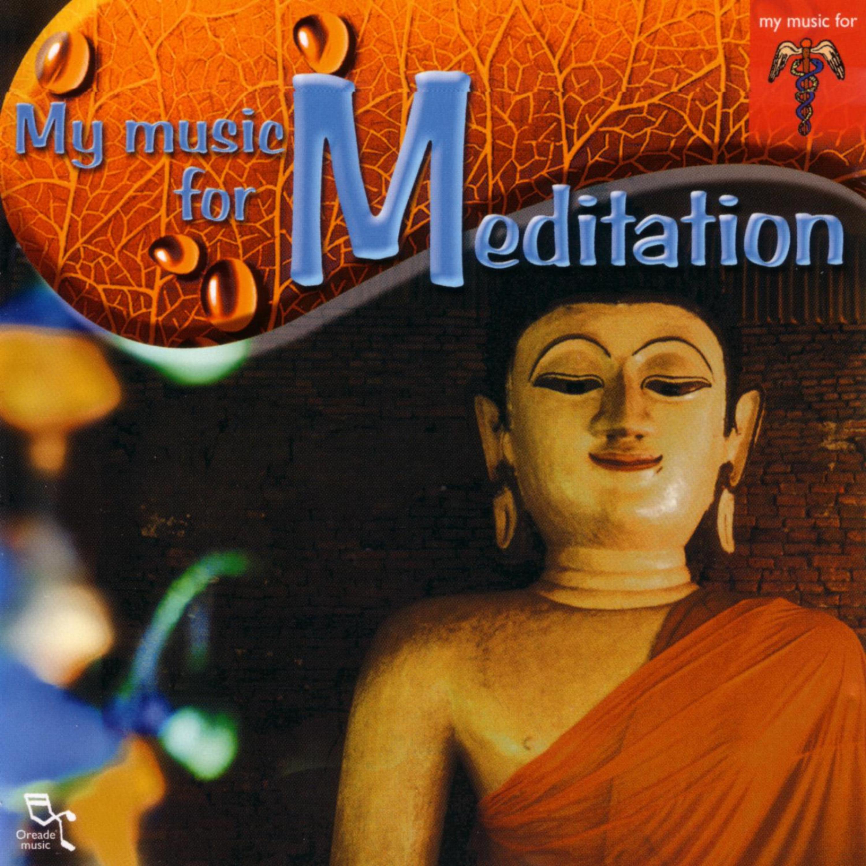 Постер альбома My Music For Meditation