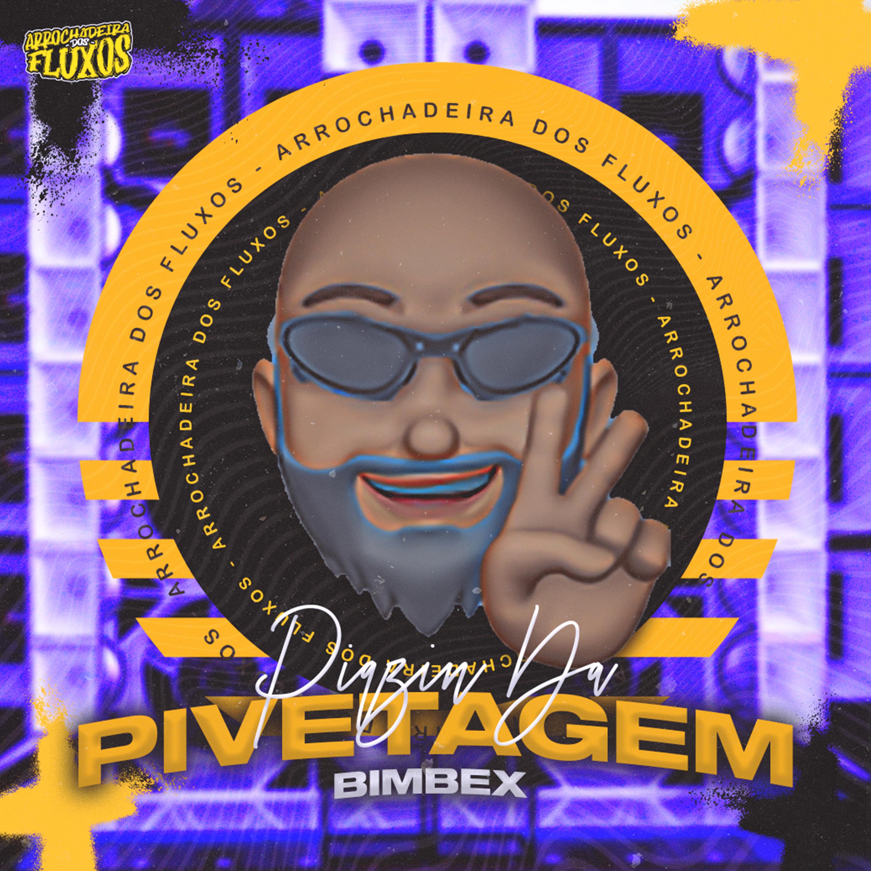 Постер альбома Piqzin da Pivetagem