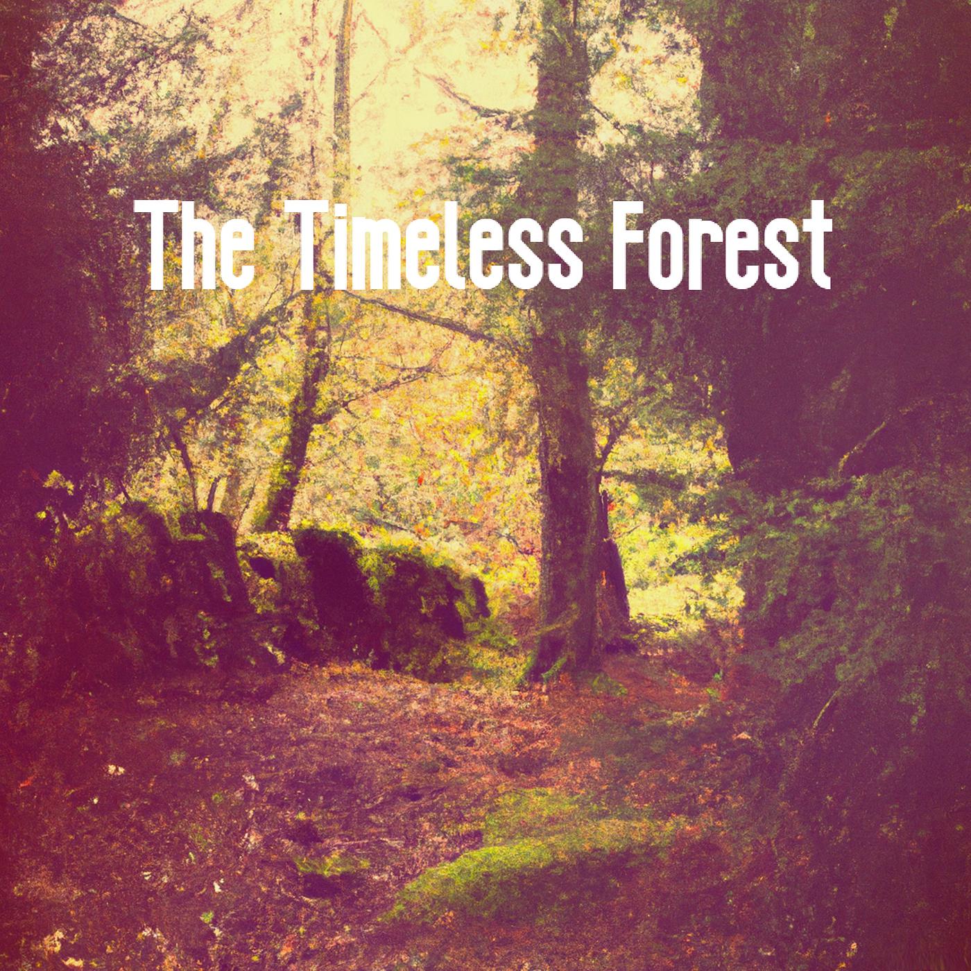 Постер альбома The Timeless Forest