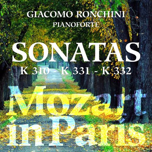 Постер альбома Mozart in Paris