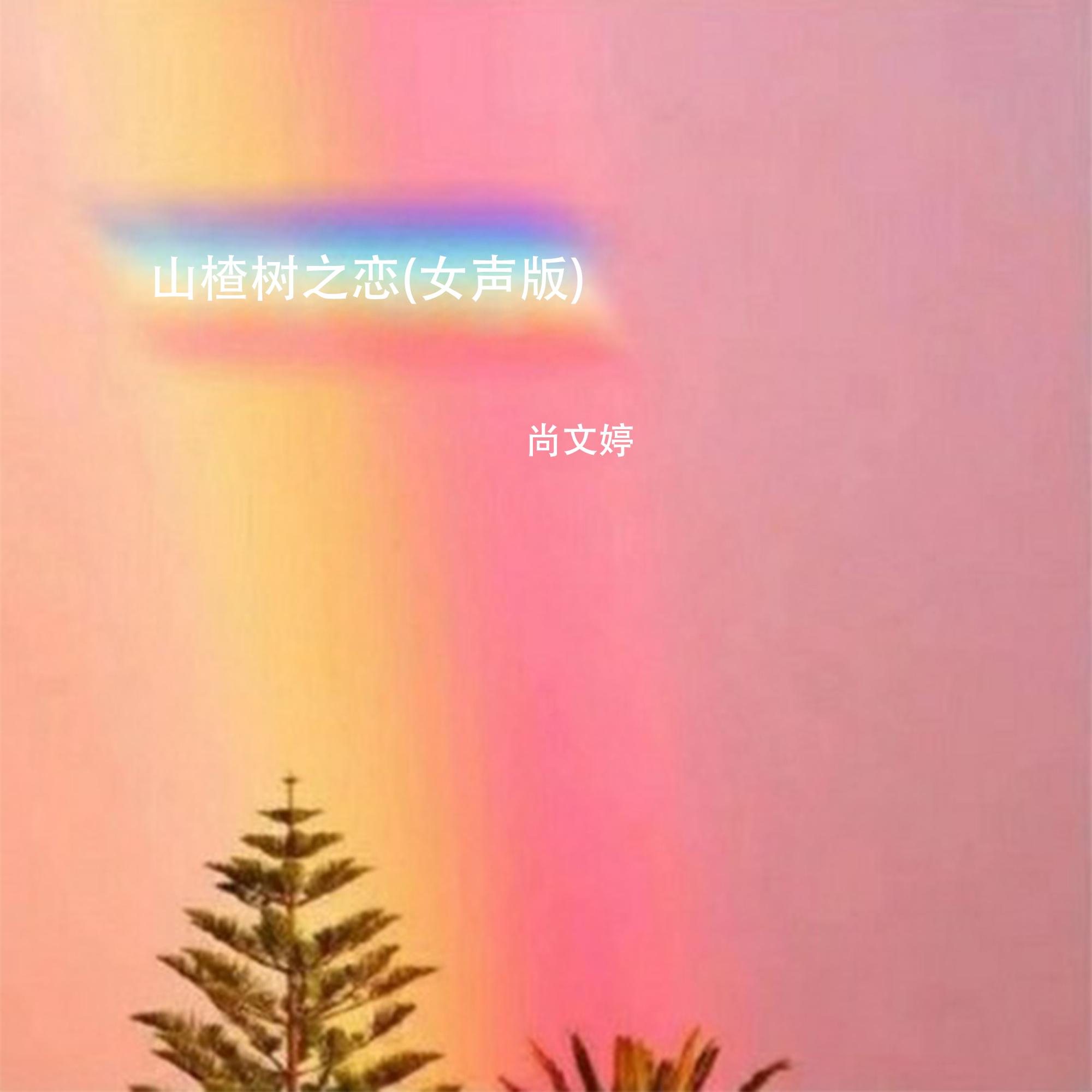 Постер альбома 山楂树之恋