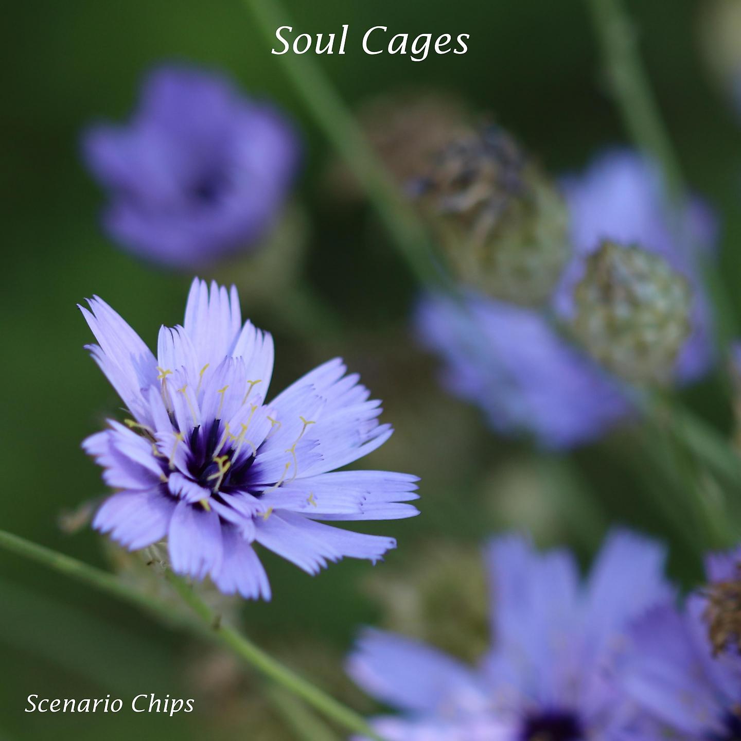 Постер альбома Soul Cages