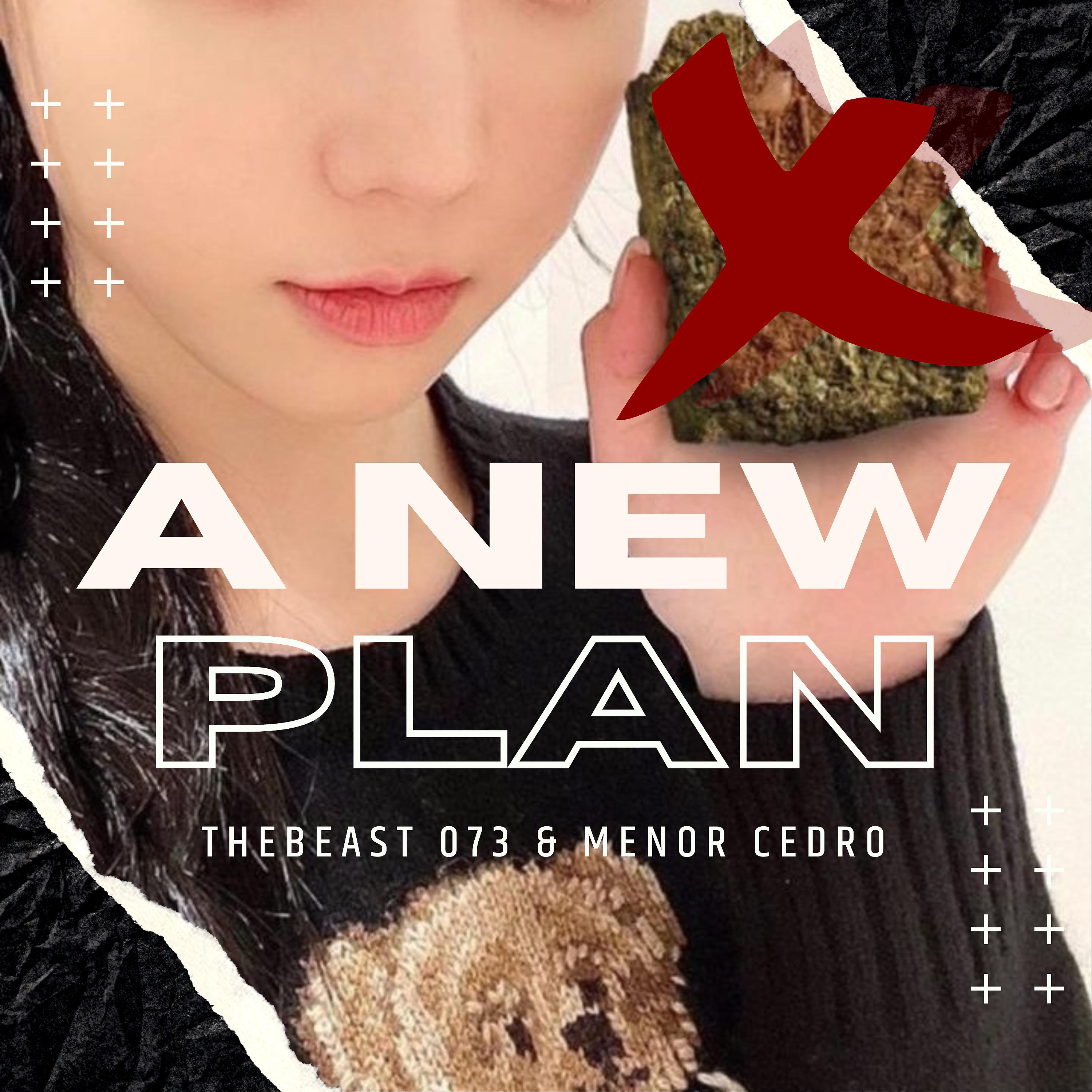 Постер альбома A New Plan