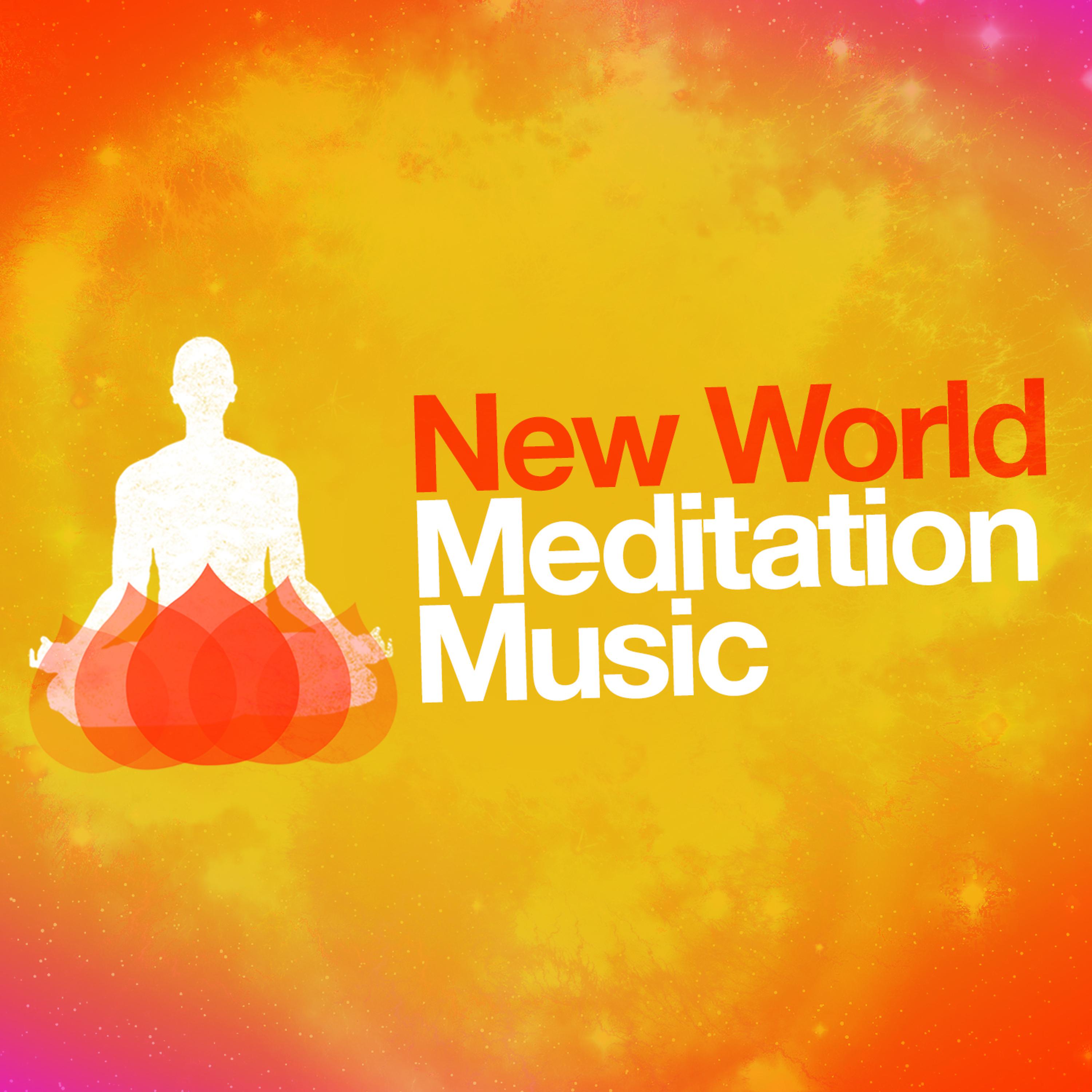 Постер альбома New World Meditation Music