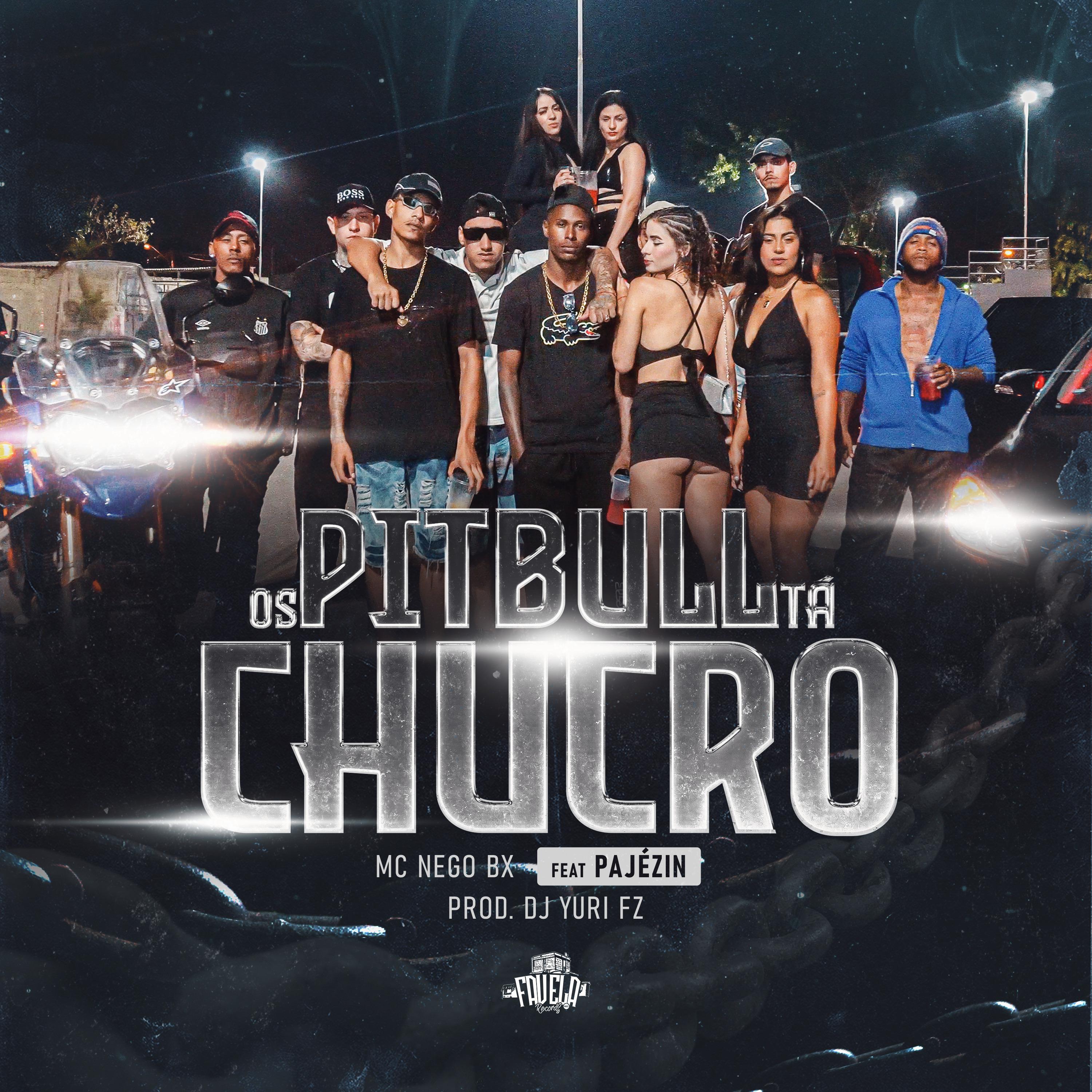 Постер альбома Os Pitbull Tá Chucro