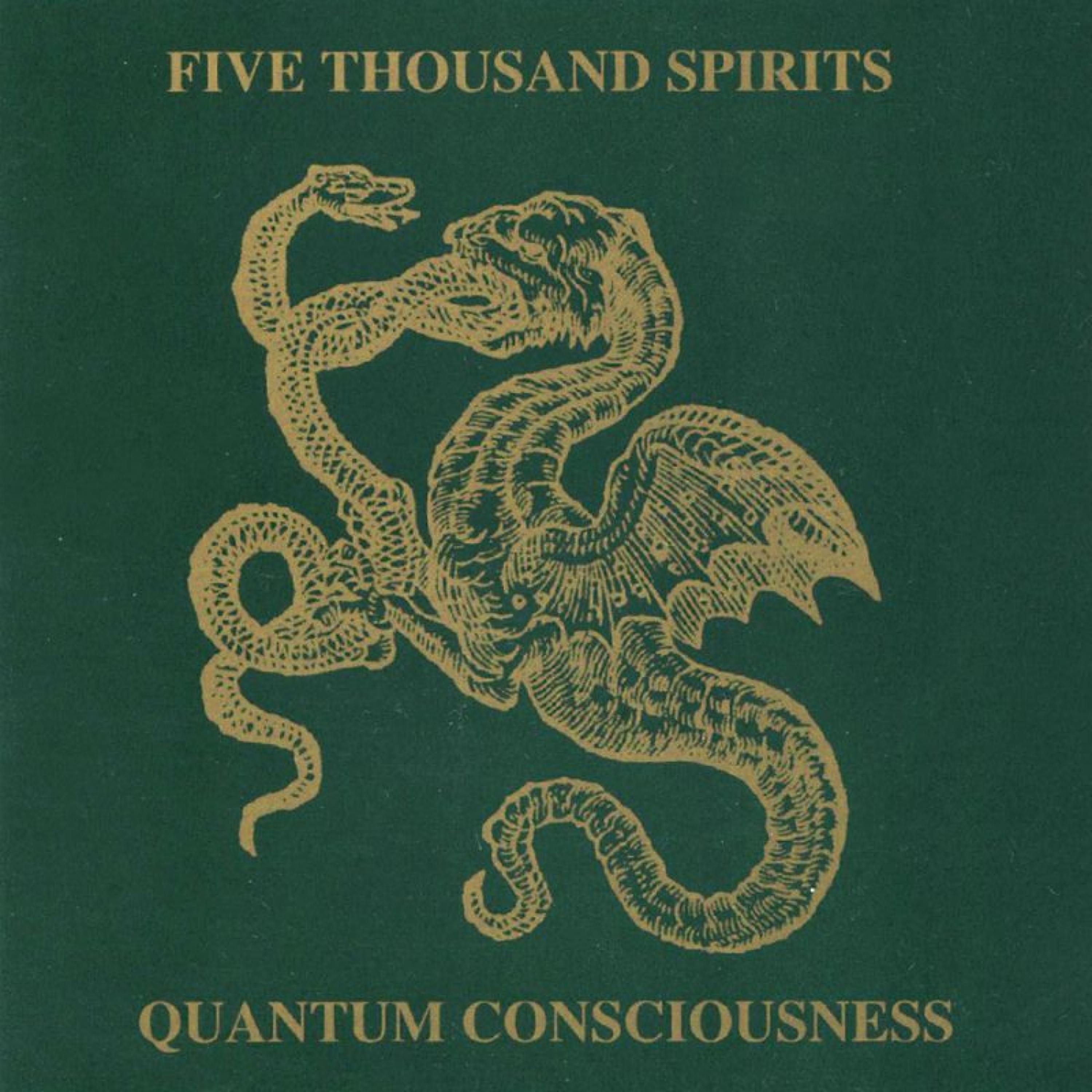 Постер альбома Quantum Consciousness