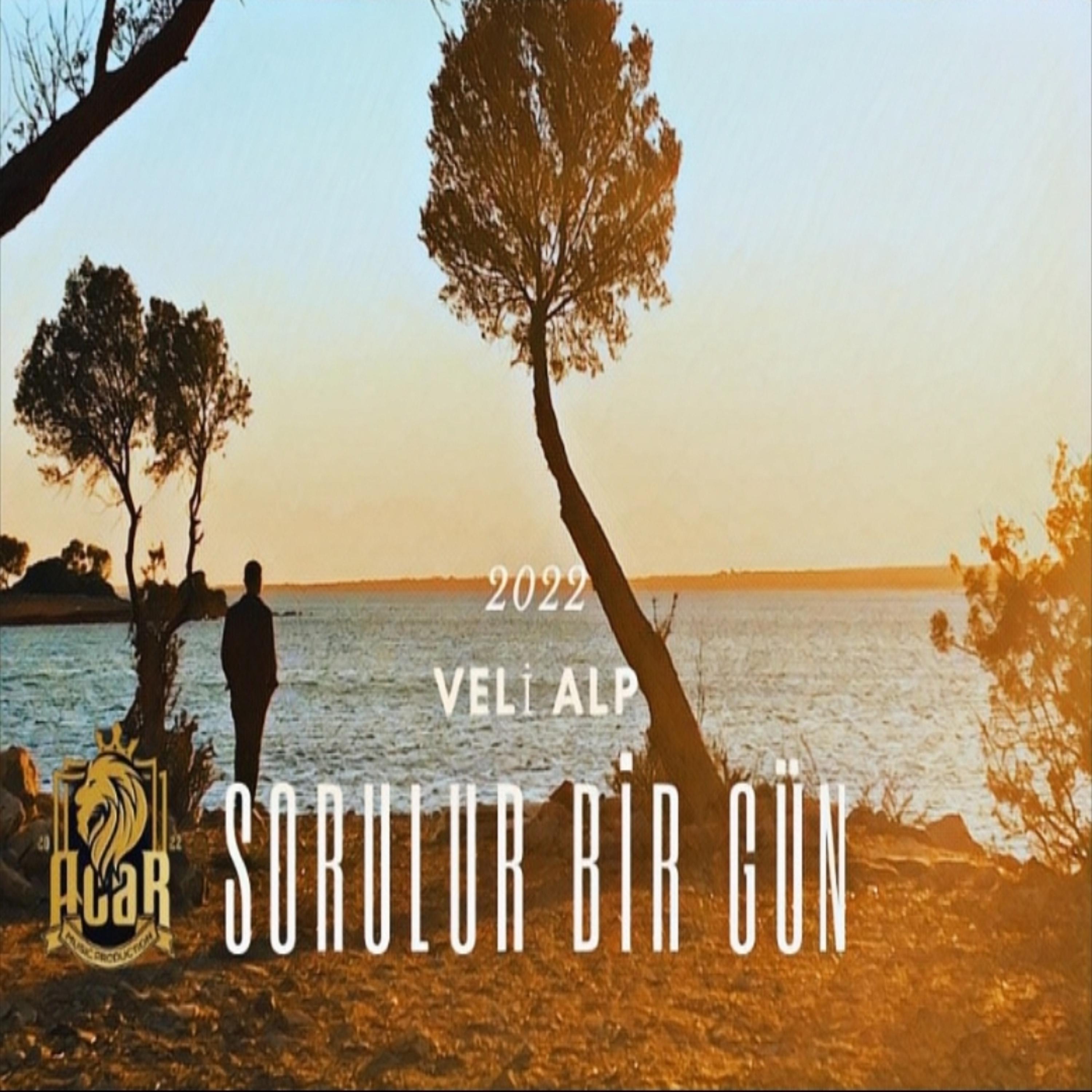 Постер альбома Sorulur Bir Gün