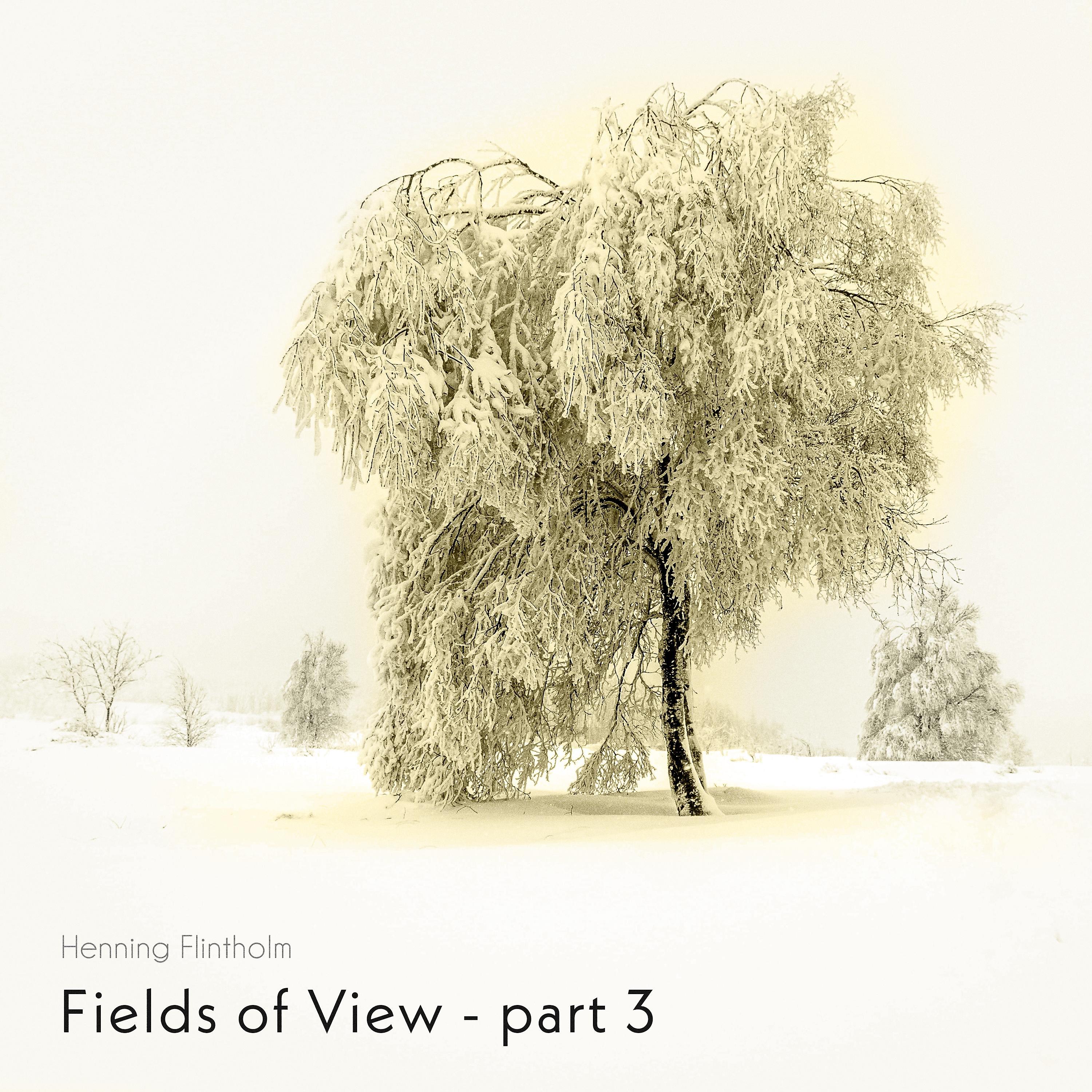 Постер альбома Fields of View - part 3