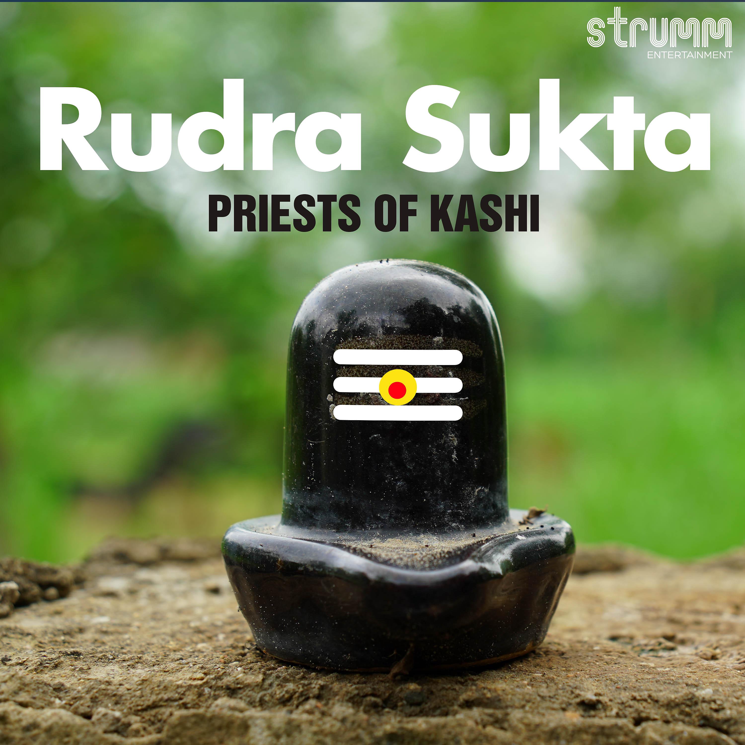 Постер альбома Rudra Sukta