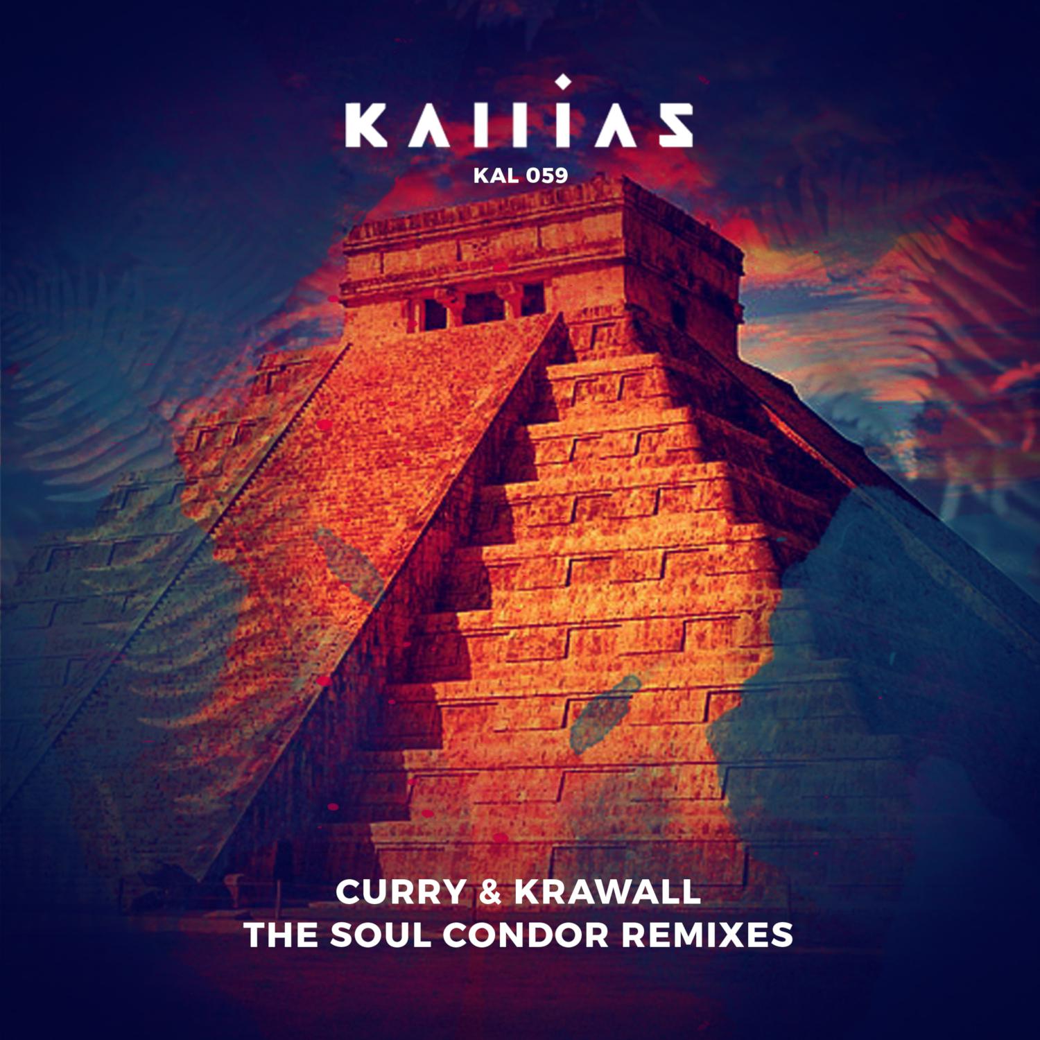 Постер альбома The Soul Condor (Remixes)