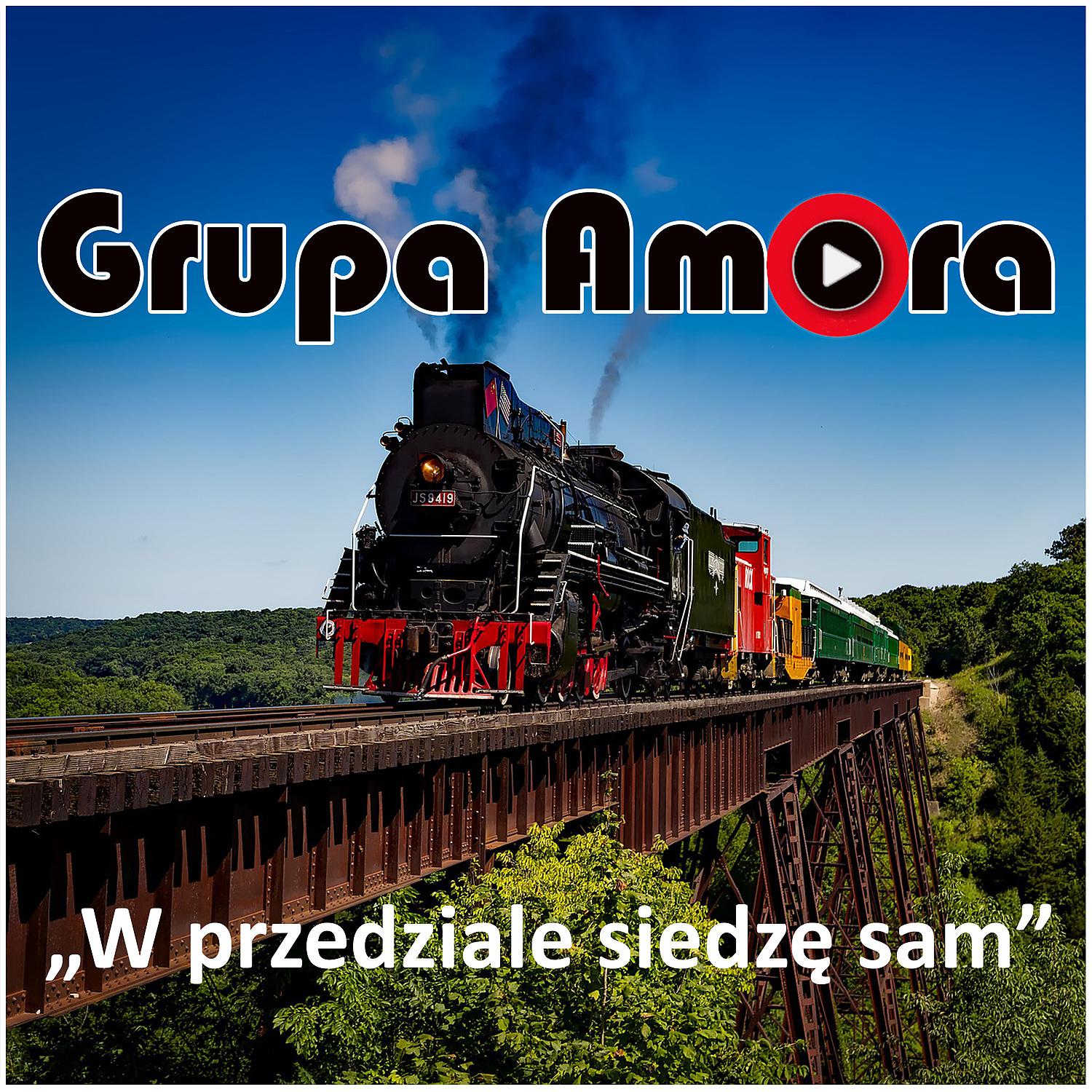 Постер альбома W przedziale siedze sam