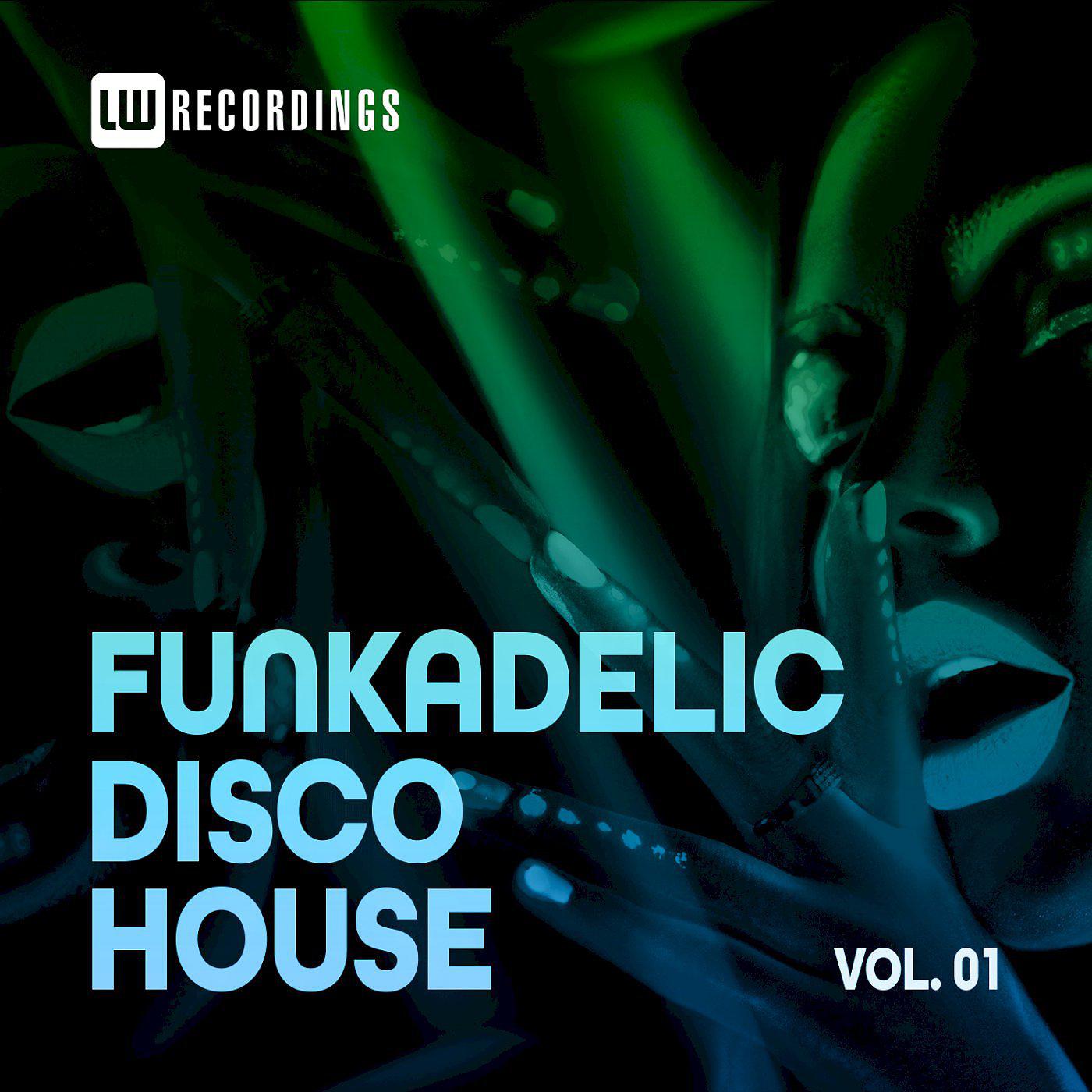 Постер альбома Funkadelic Disco House, 01