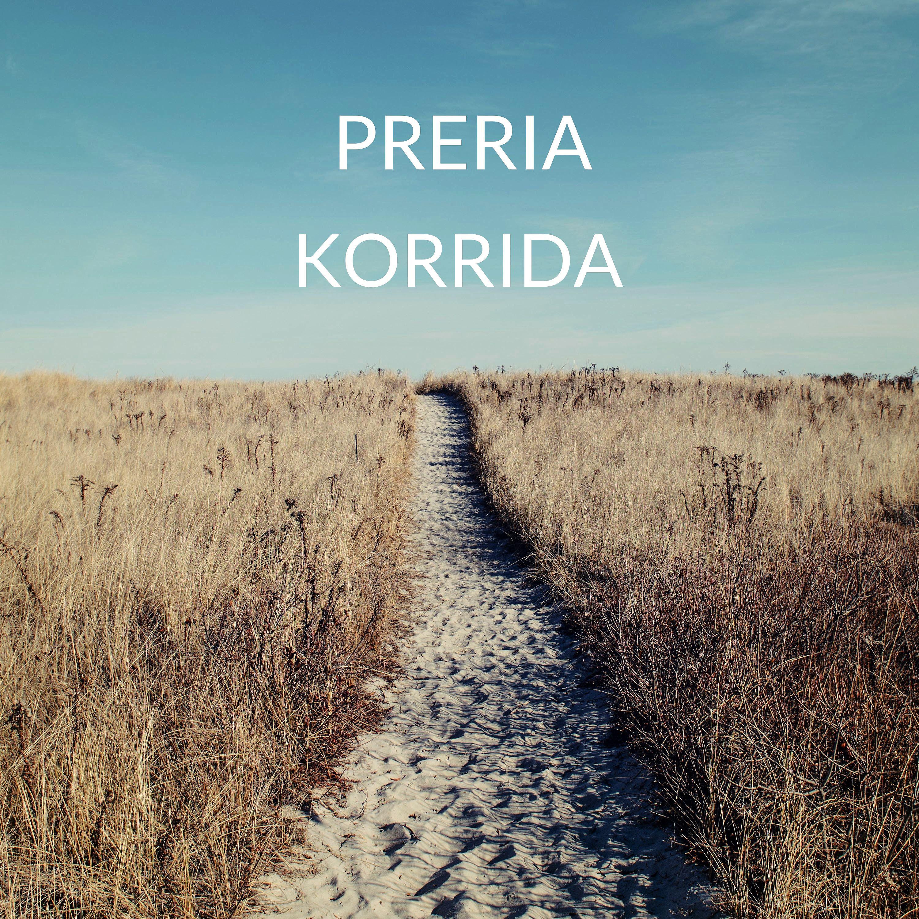 Постер альбома KORRIDA