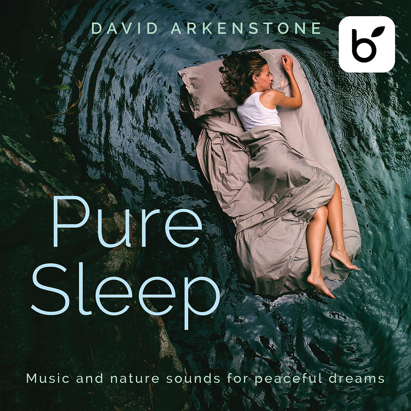 Постер альбома Pure Sleep: Music And Nature Sounds For Peaceful Dreams