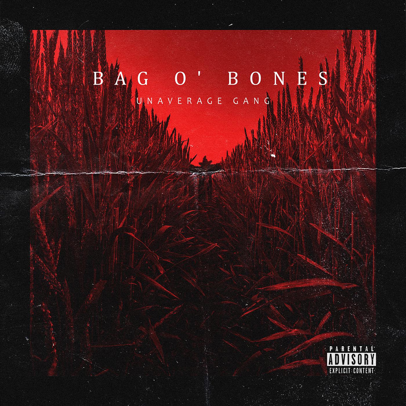 Постер альбома Bag O’ bones