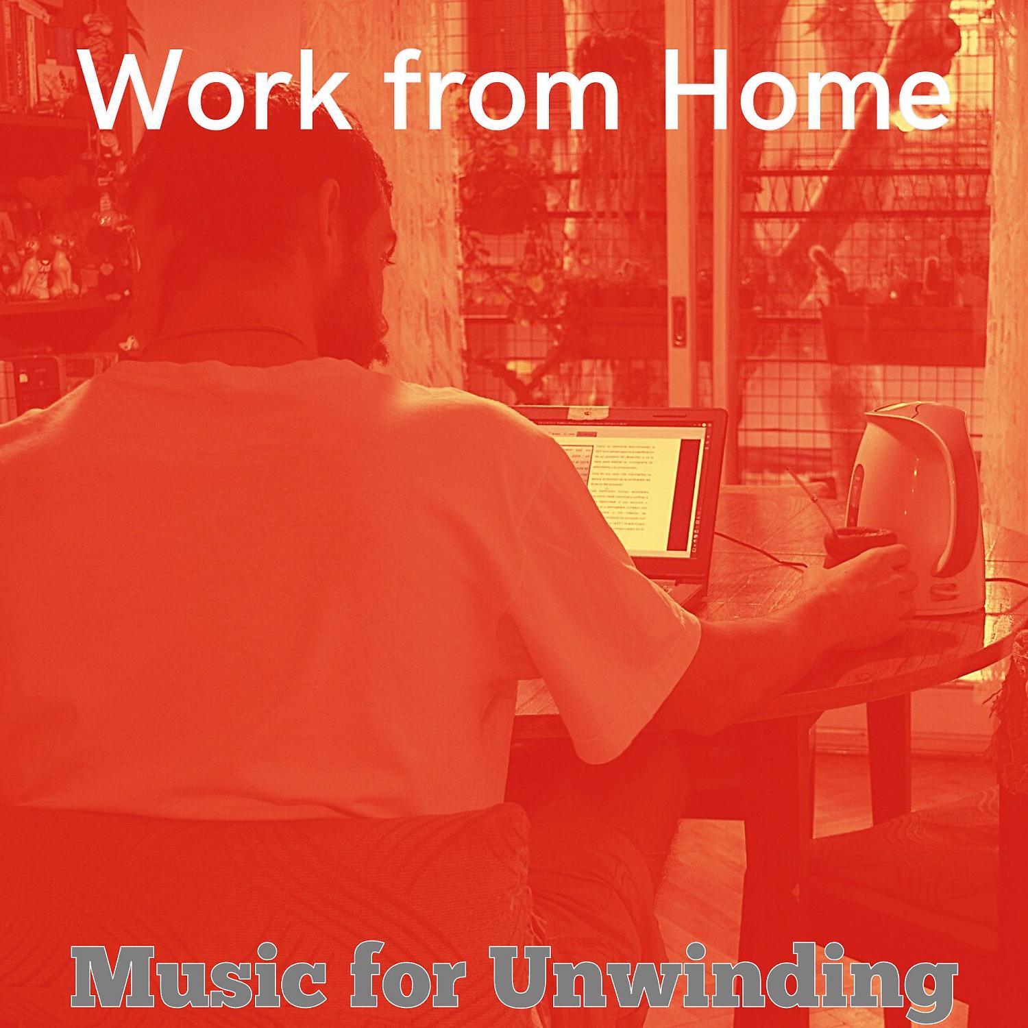 Постер альбома Music for Unwinding