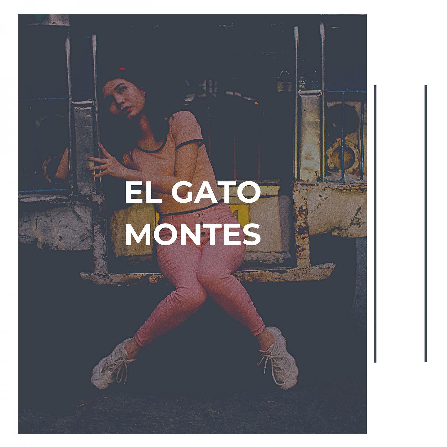 Постер альбома El Gato Montes