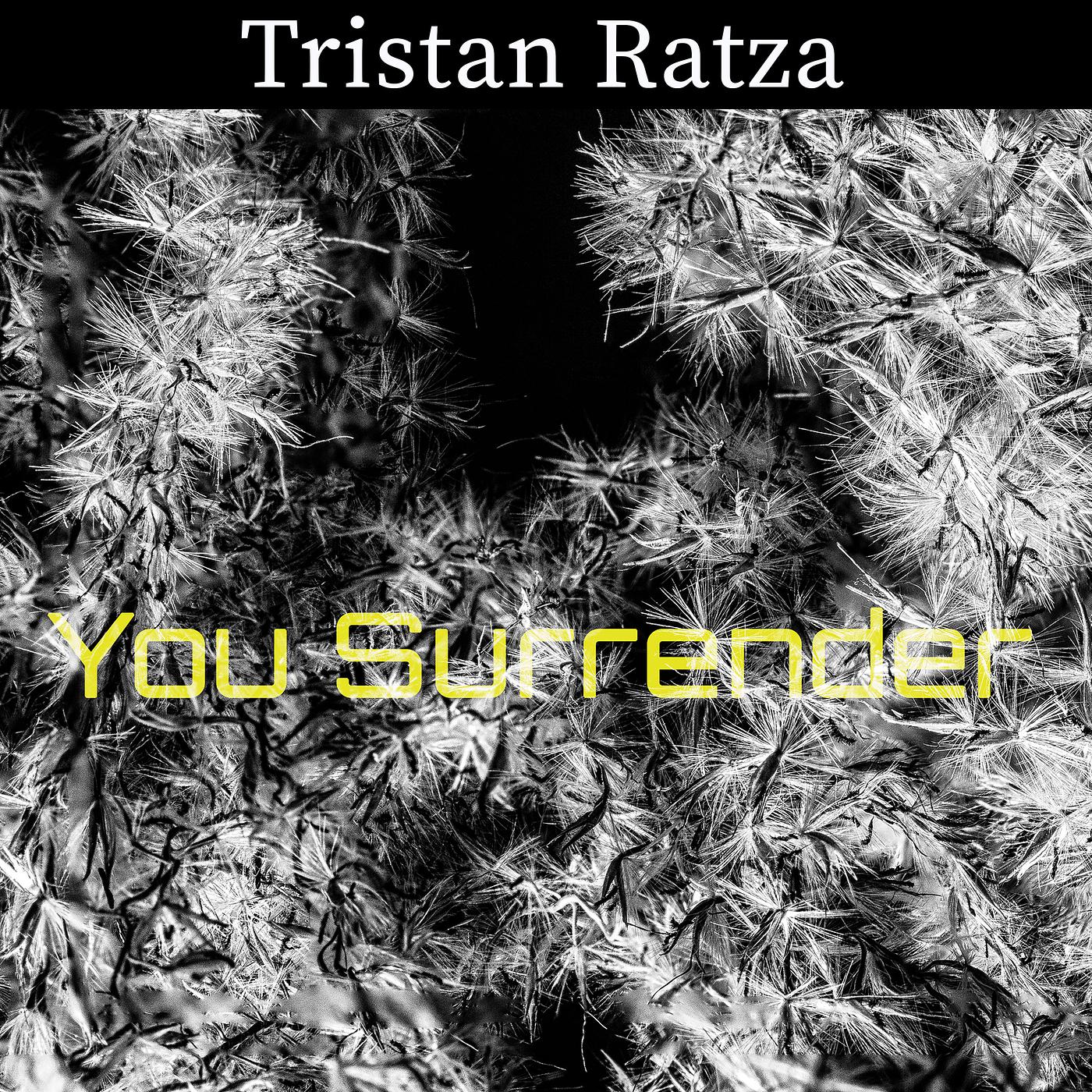 Постер альбома You Surrender