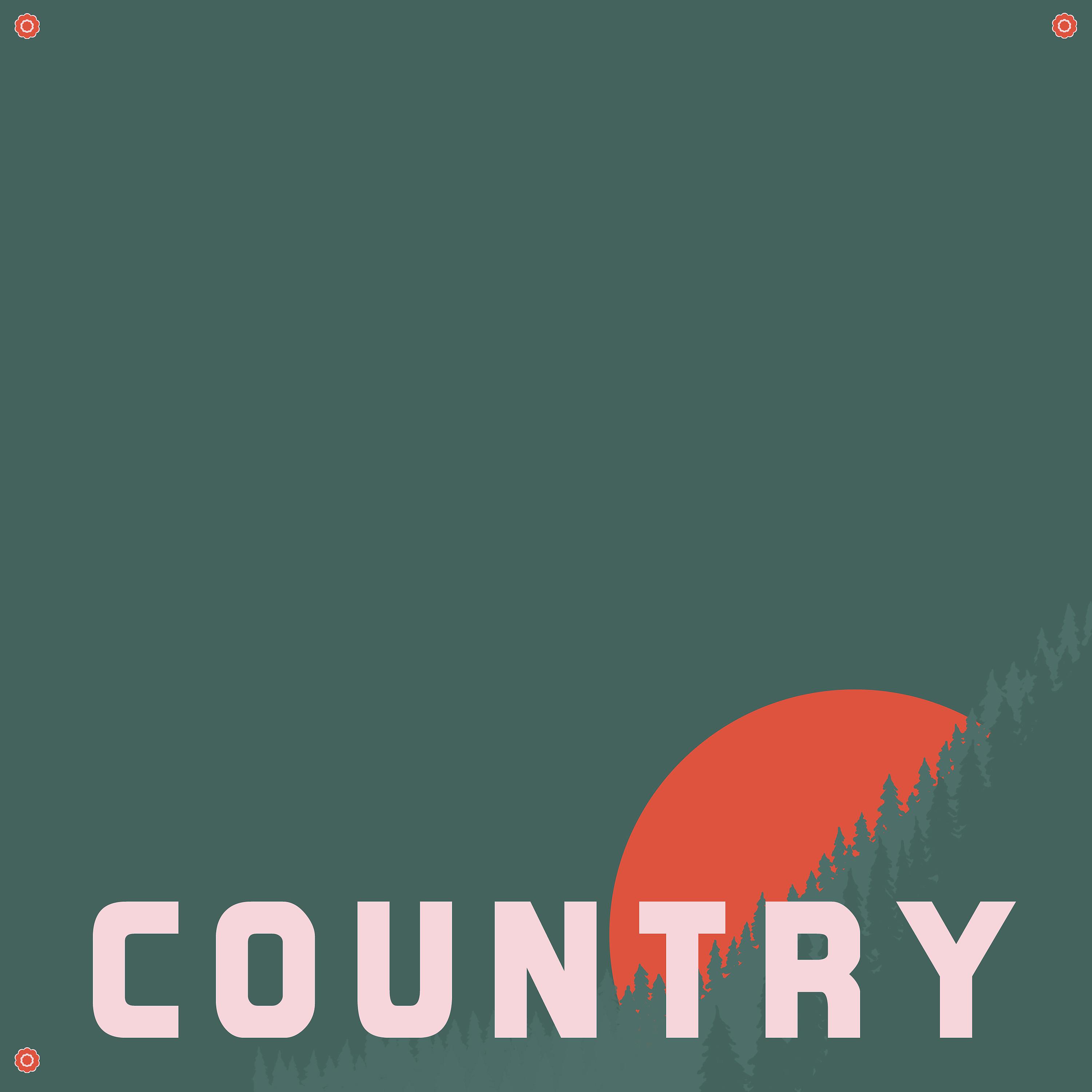 Постер альбома Beautiful Country