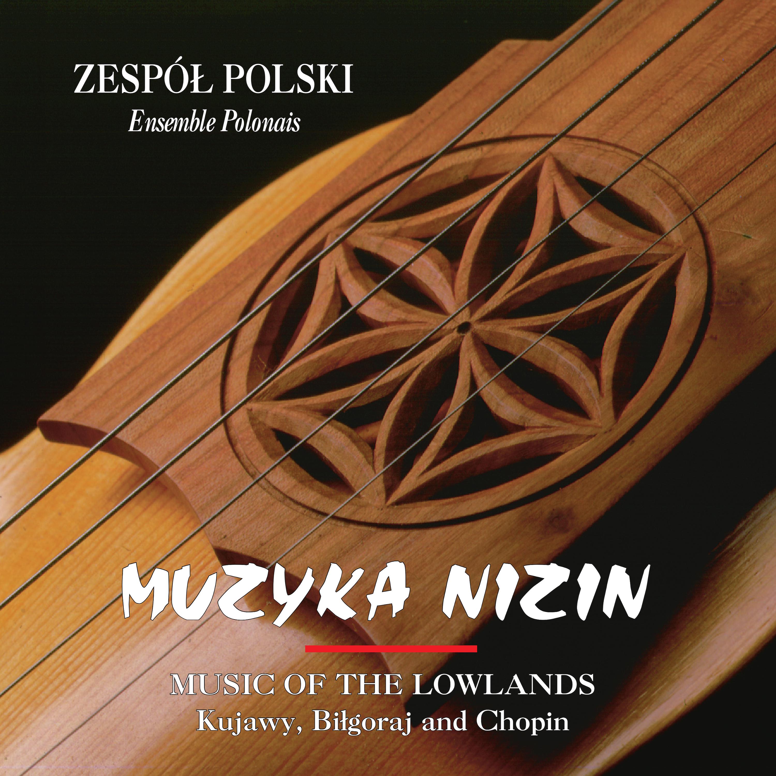 Постер альбома Muzyka Nizin