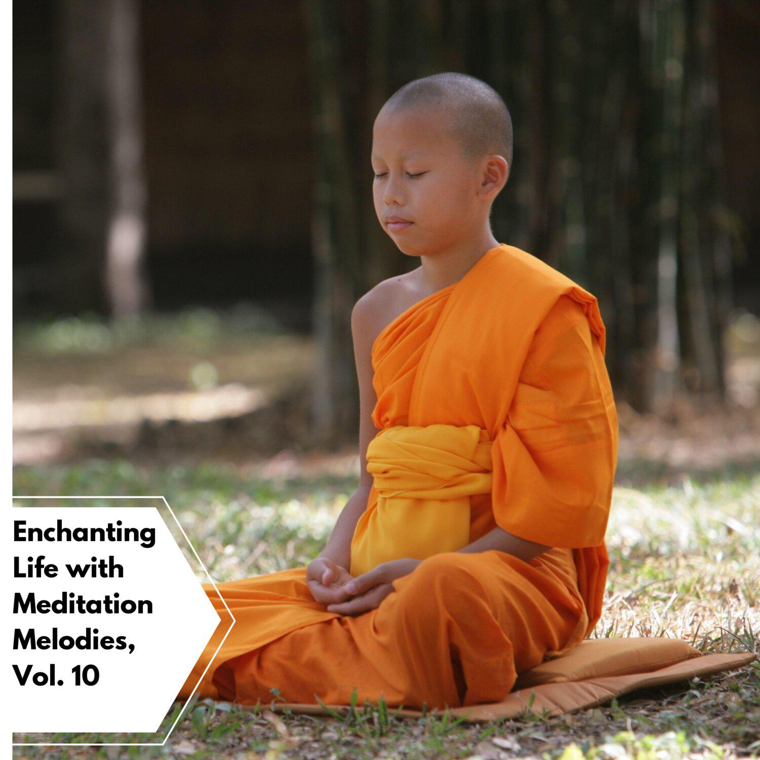 Постер альбома Enchanting Life with Meditation Melodies, Vol. 10
