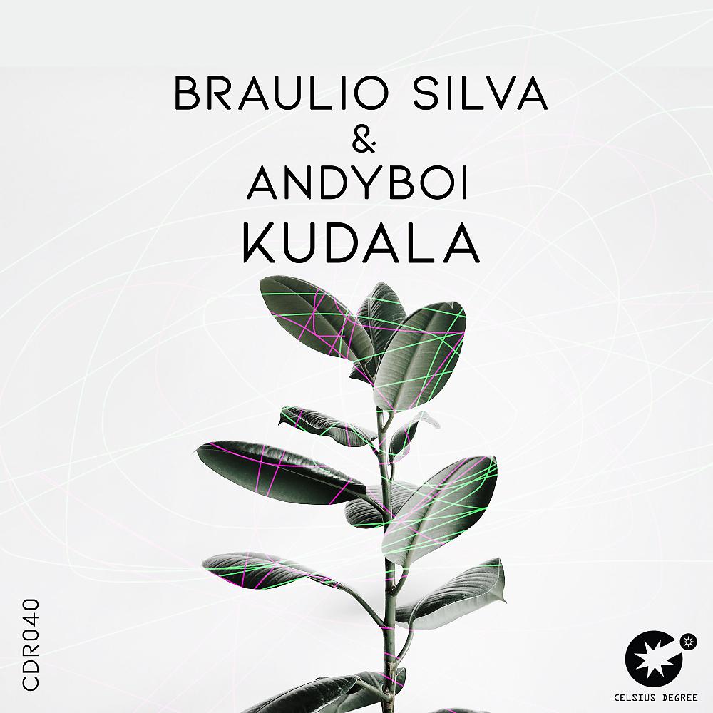 Постер альбома Kudala