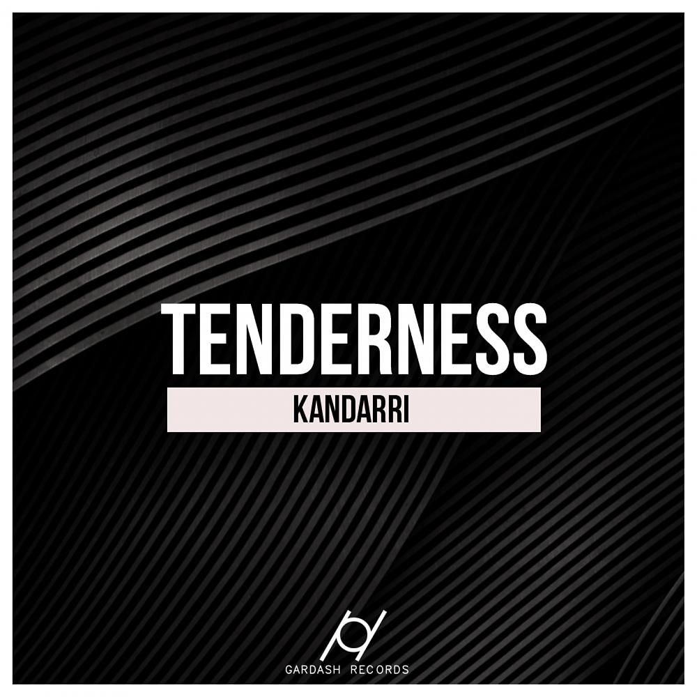 Постер альбома Tenderness (Instrumental Mix)