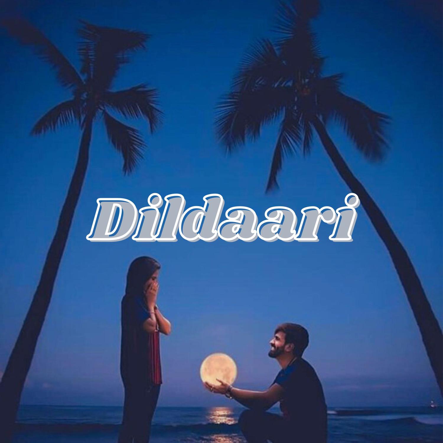 Постер альбома Dildaari