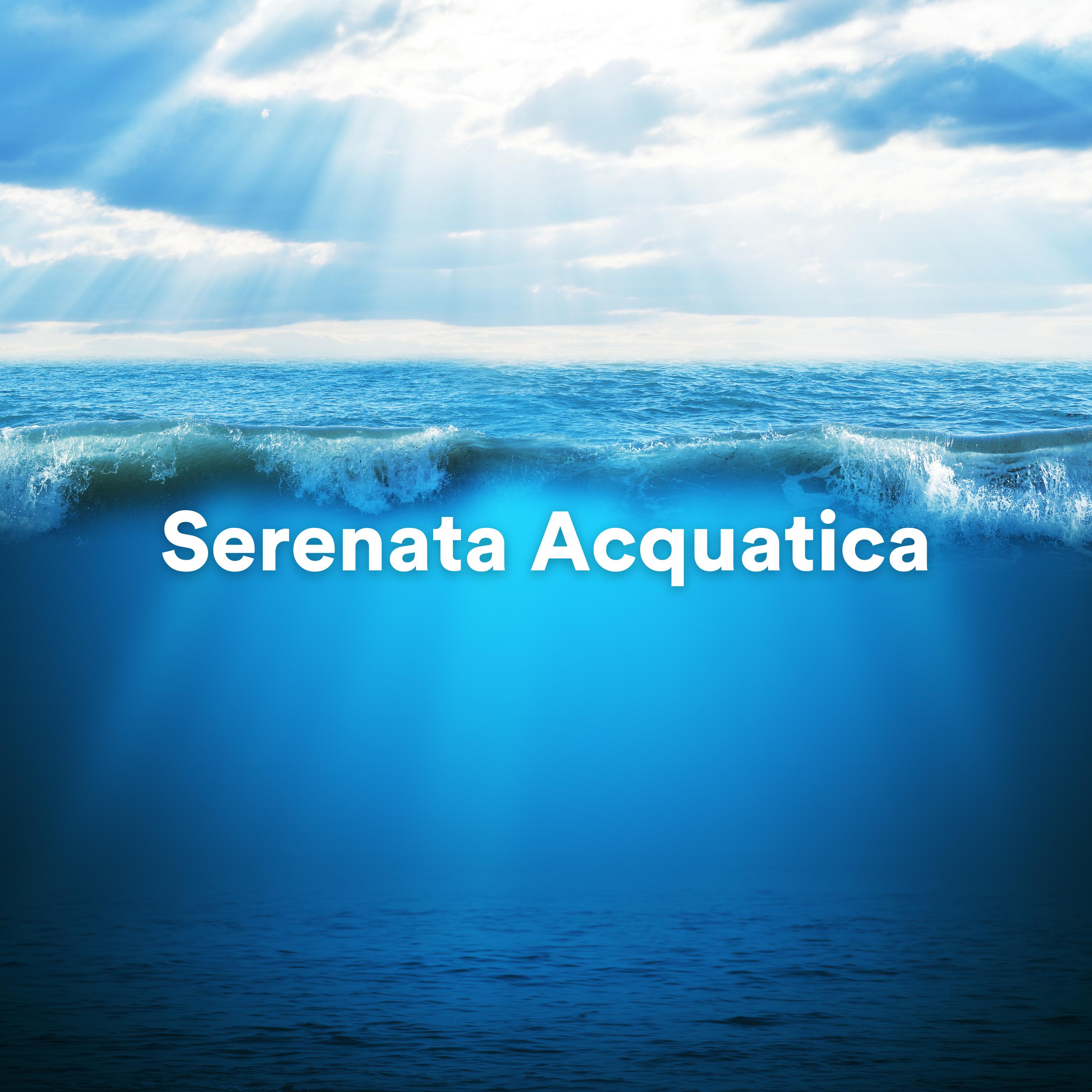 Постер альбома Serenata Acquatica