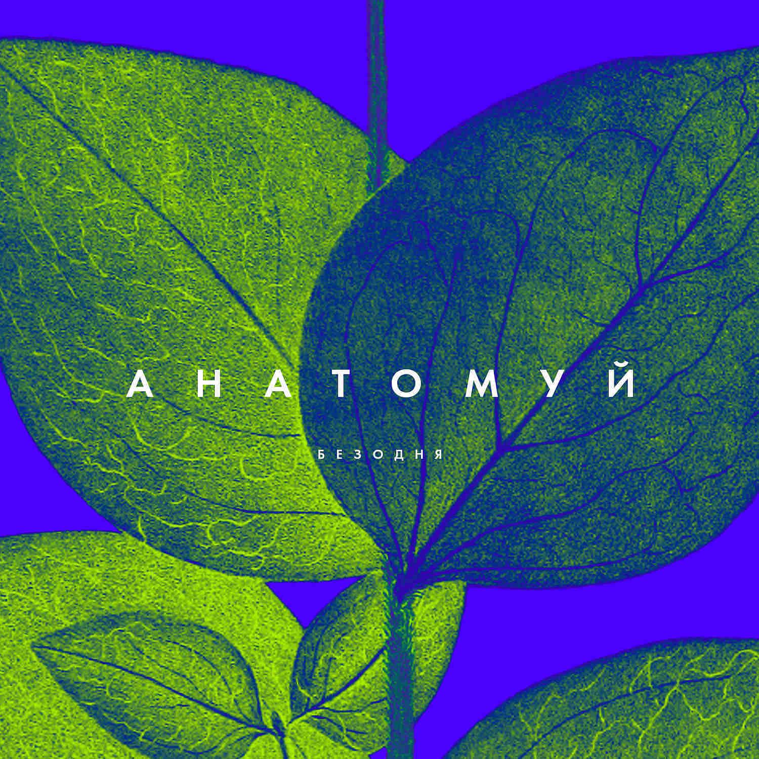 Постер альбома Анатомуй