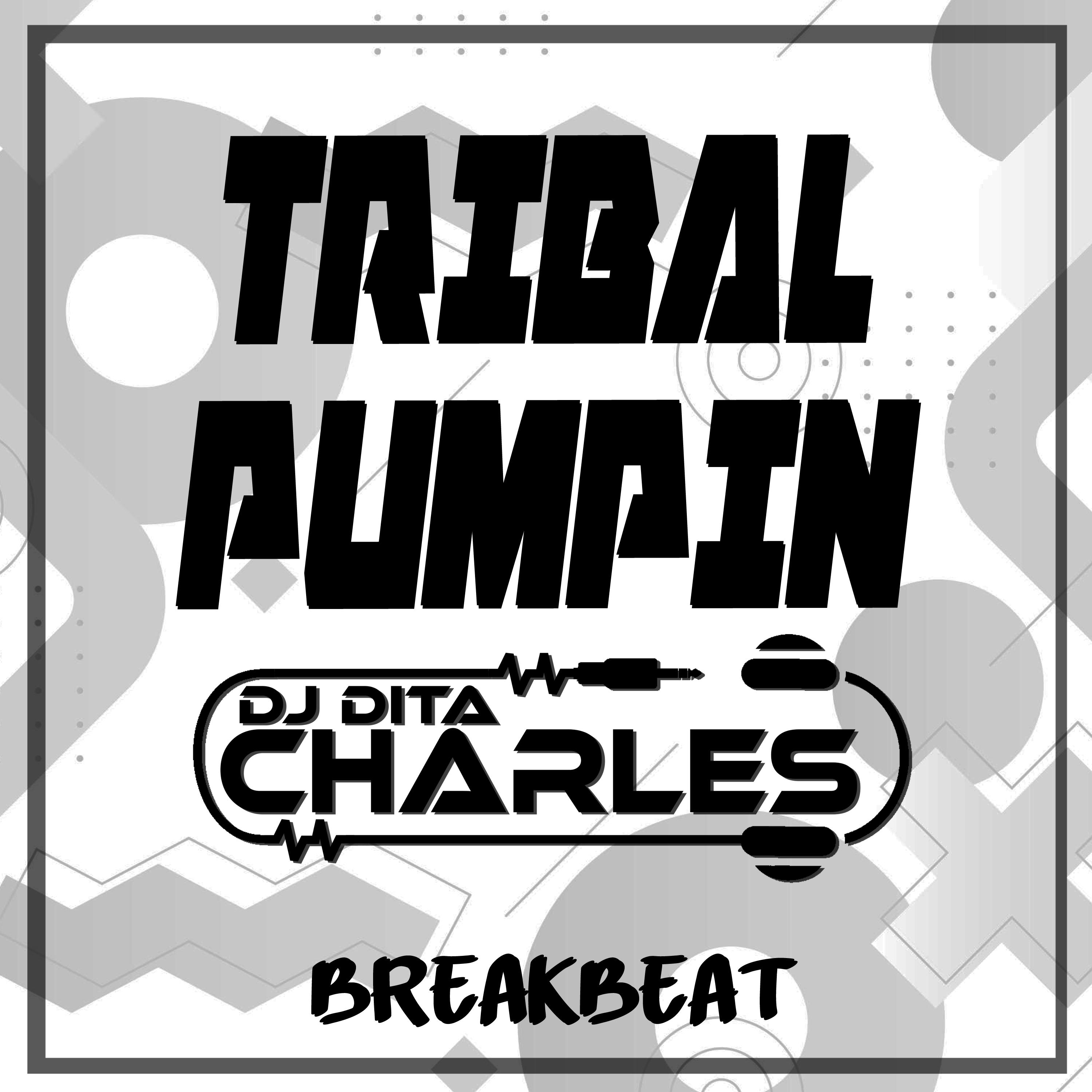 Постер альбома TRIBAL PUMPIN ( Breakbeat )