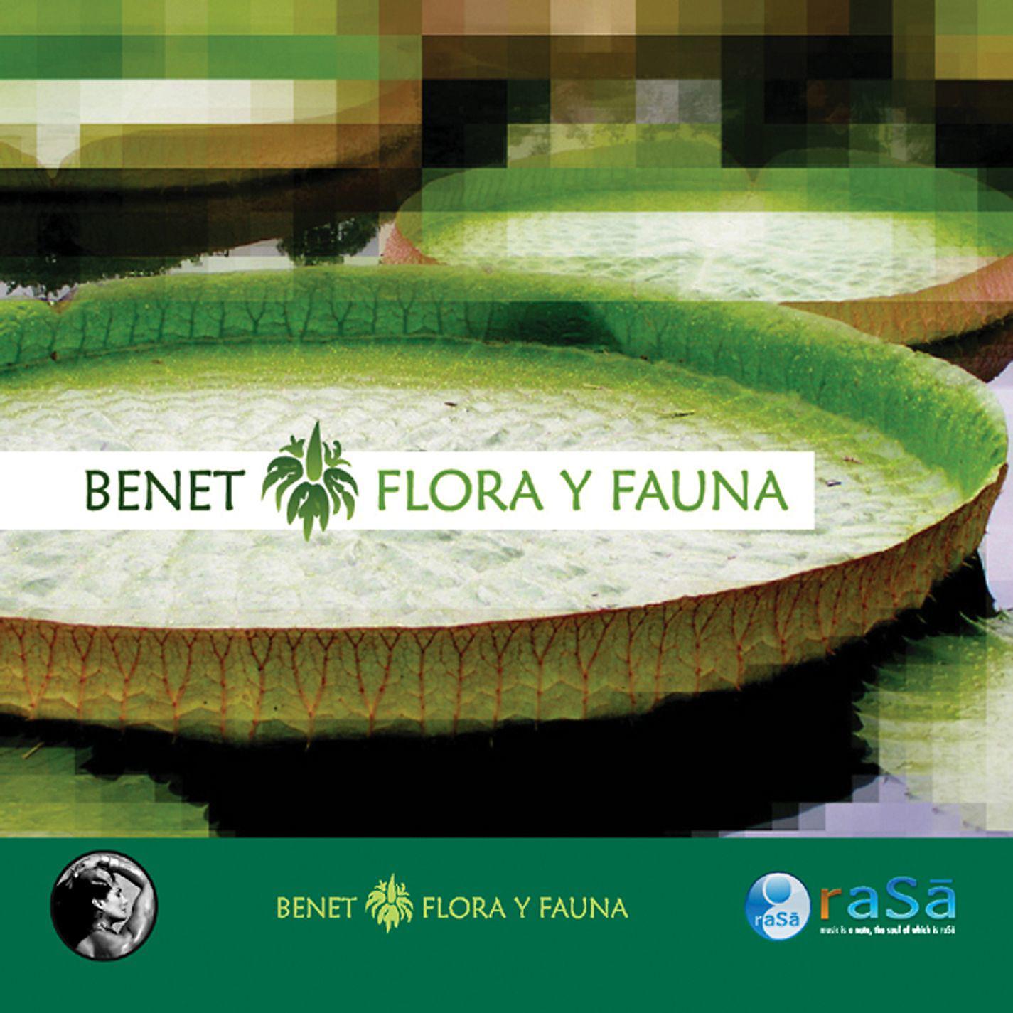 Постер альбома Flora Y Fauna