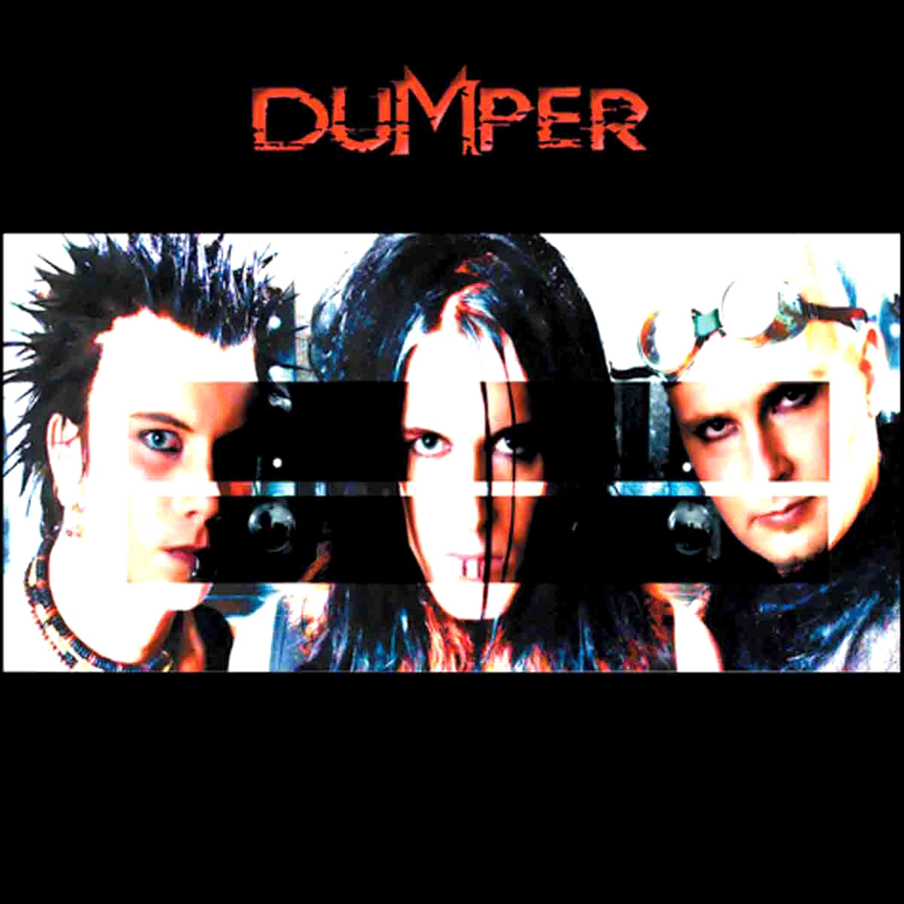 Постер альбома Dumper