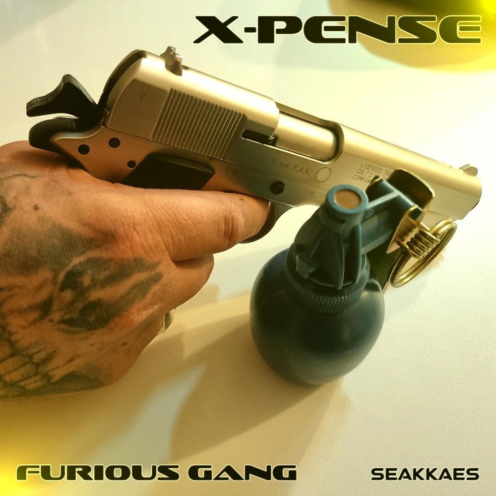 Постер альбома Furious Gang