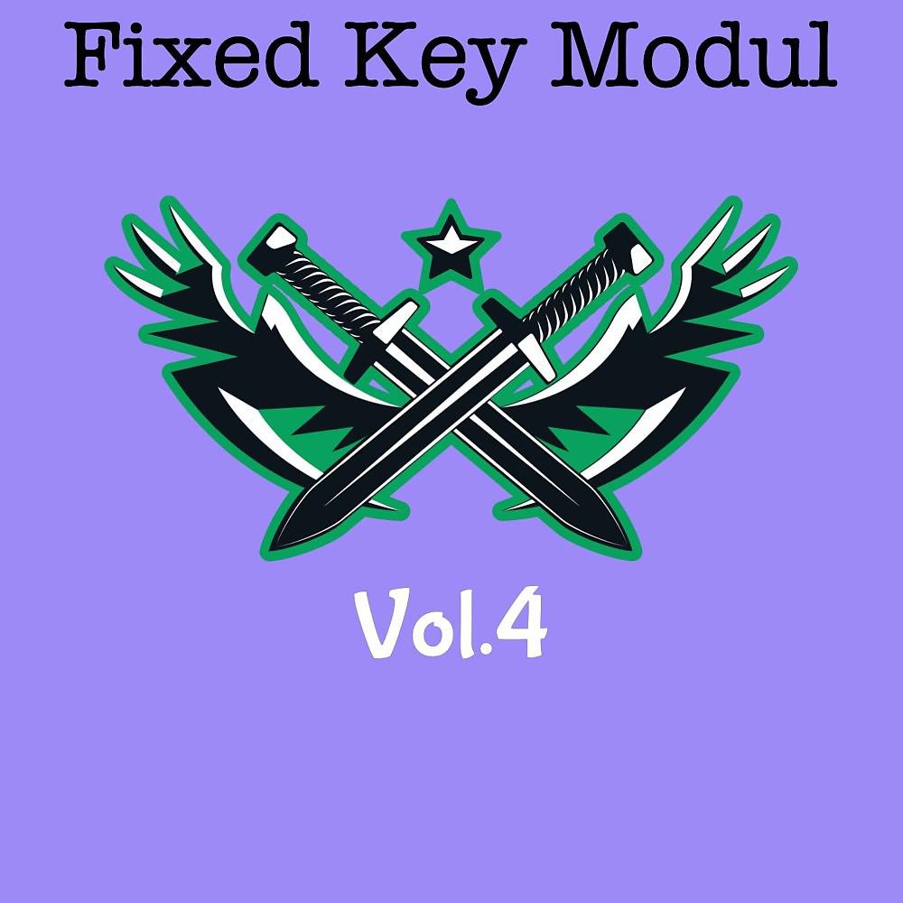 Постер альбома Fixed Key Modul, Vol. 4