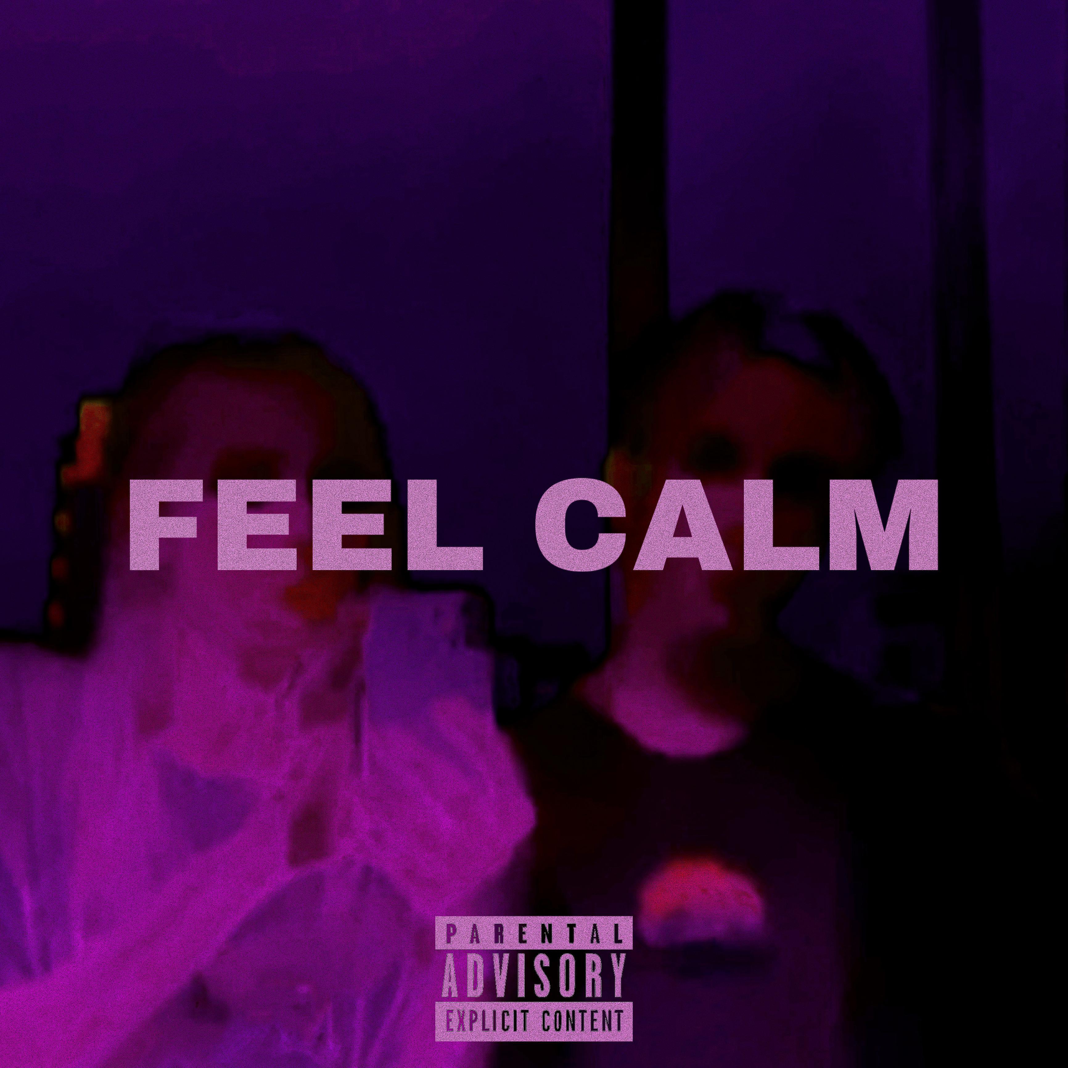 Постер альбома Feel Calm (feat. Lily)
