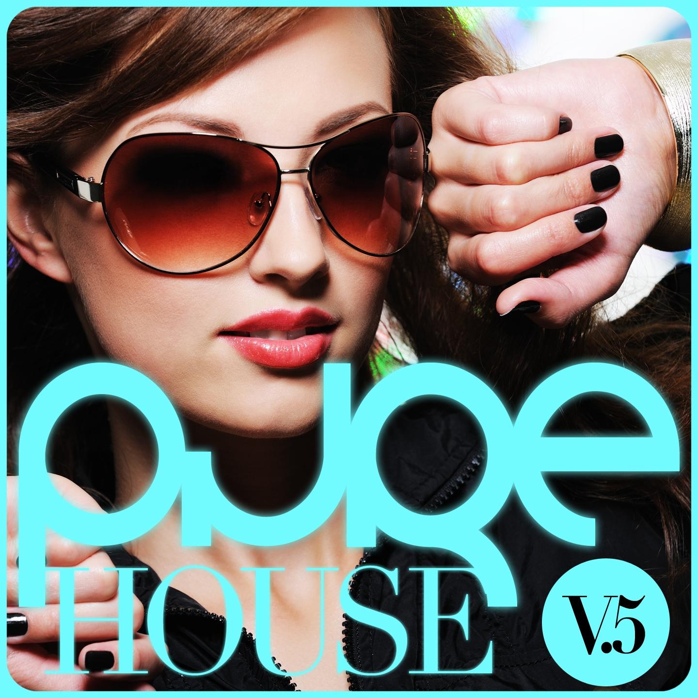 Постер альбома PURE House, Vol. 5