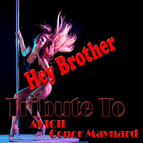 Постер альбома Hey Brother: Tribute to Avicii, Conor Maynard