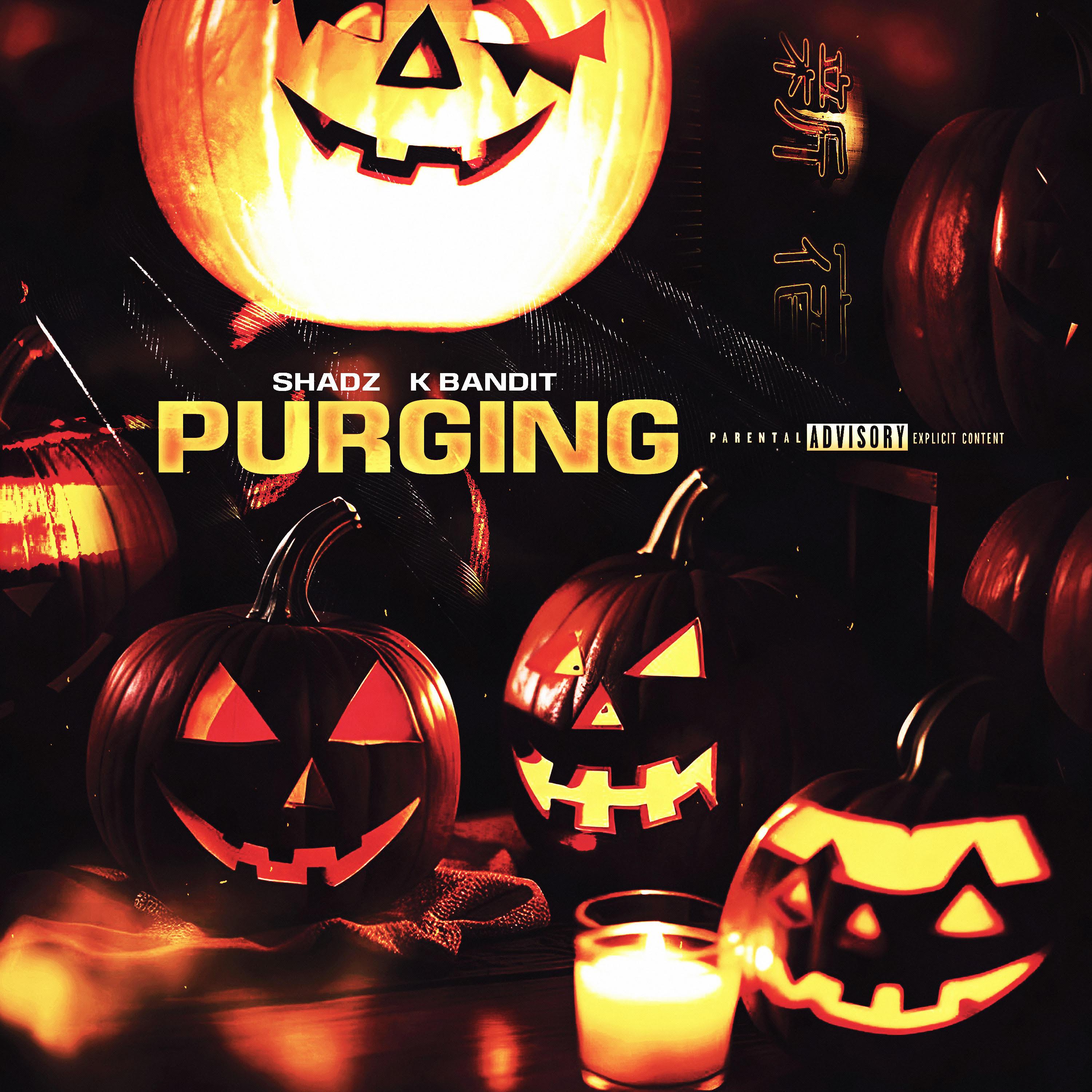 Постер альбома Purging
