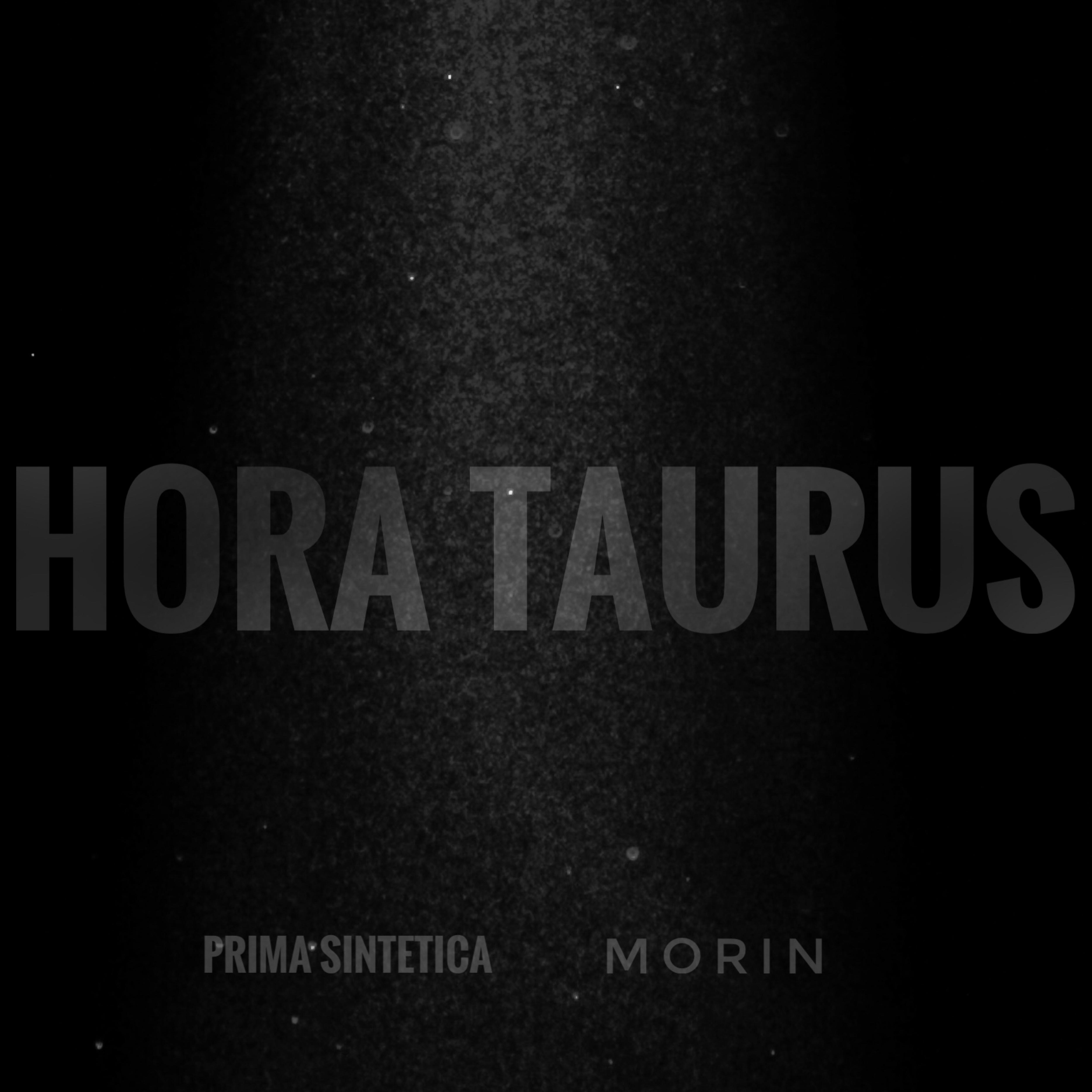 Постер альбома Hora Taurus